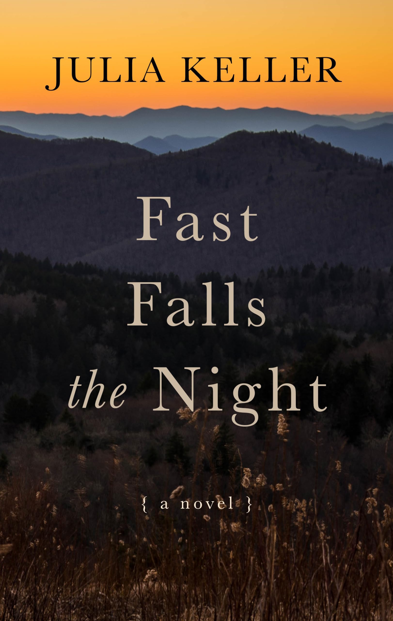 Fast Falls the Night (A Bell Elkins Novel),Used