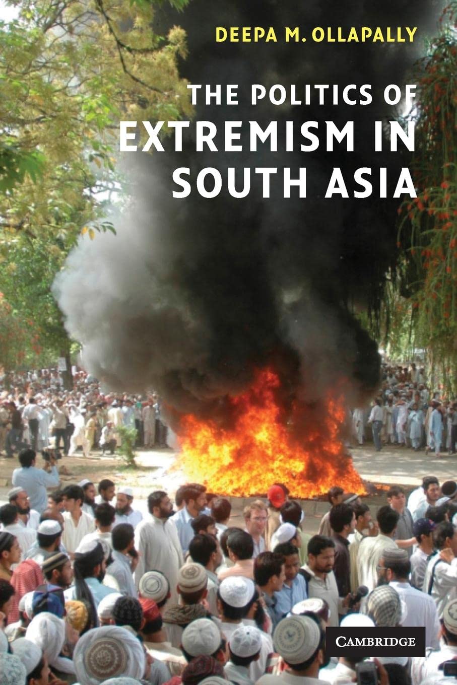 The Politics of Extremism in South Asia,Used