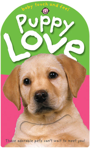 Baby Touch and Feel Puppy Love,Used