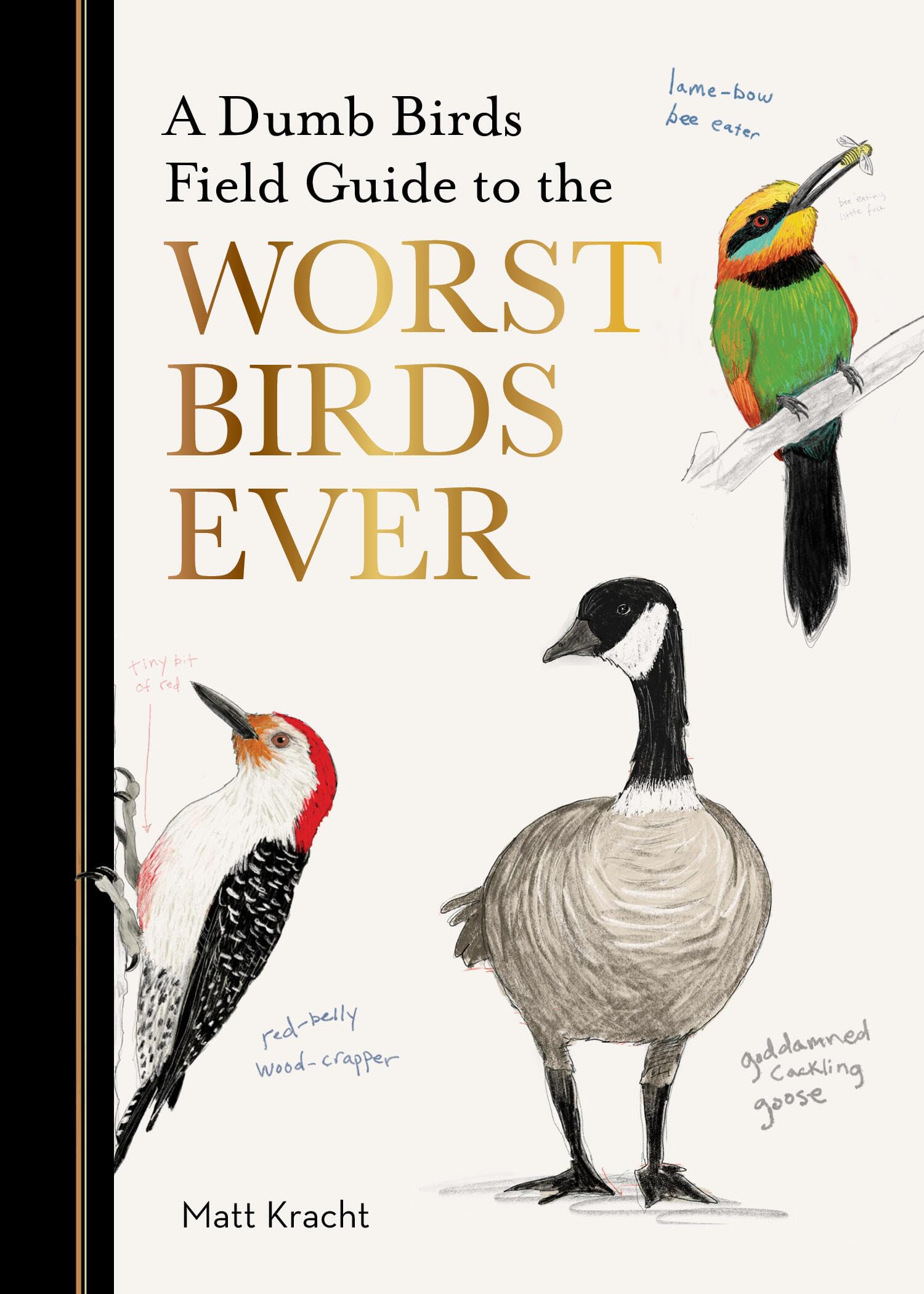 DUMB BIRDS FGT THE WORST BIRDS EVER