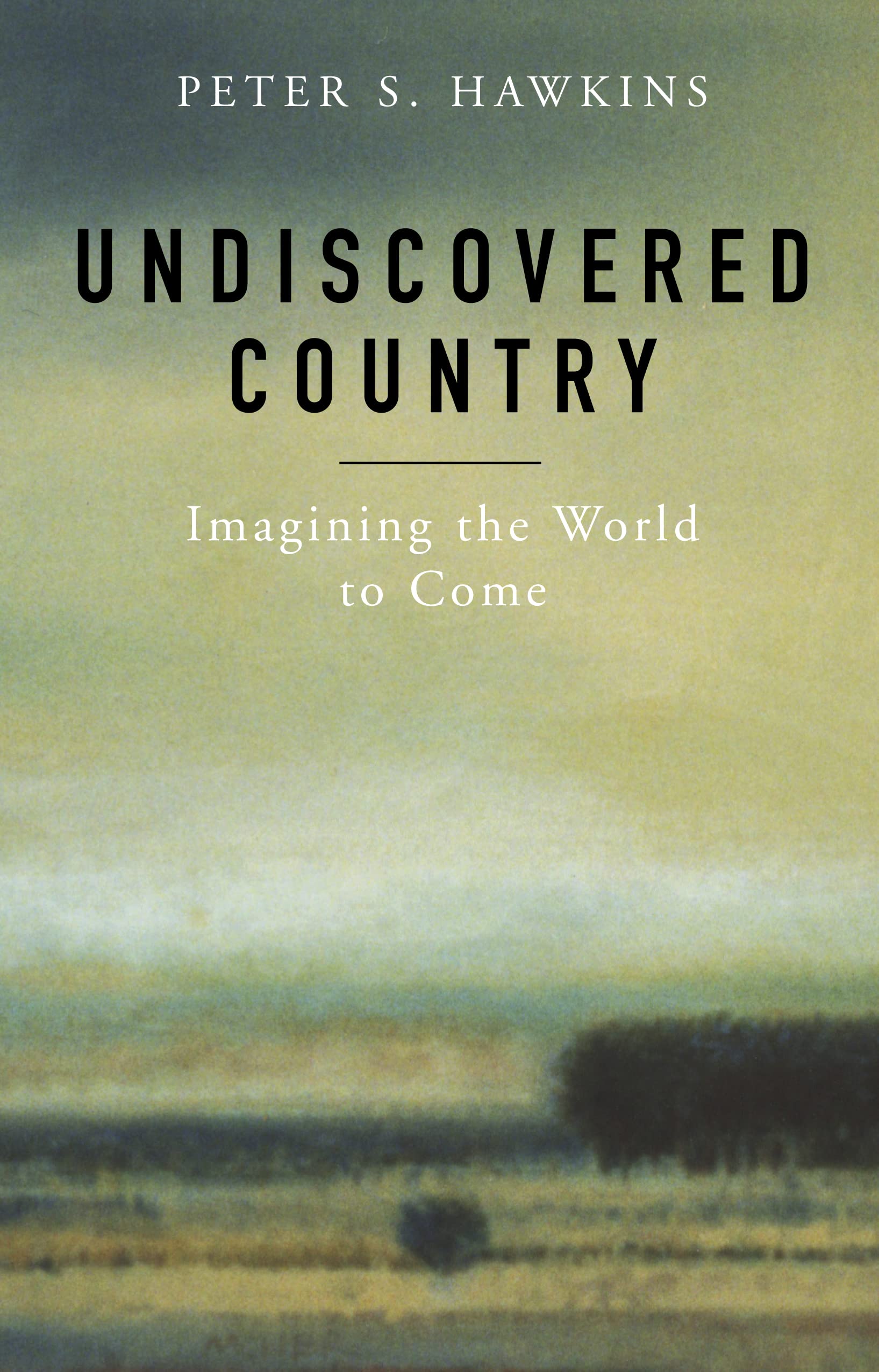 Undiscovered Country: Imagining the World to Come,Used