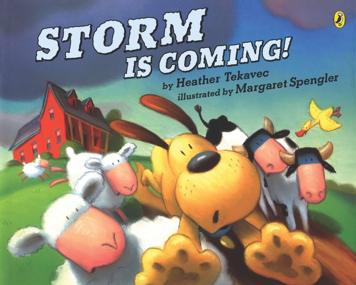 Storm Is Coming!,Used