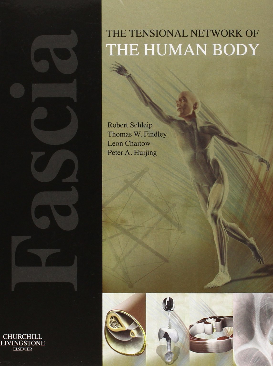 Fascia: The Tensional Network Of The Human Body: The Science And Clinical Applications In Manual And Movement Therapy,New