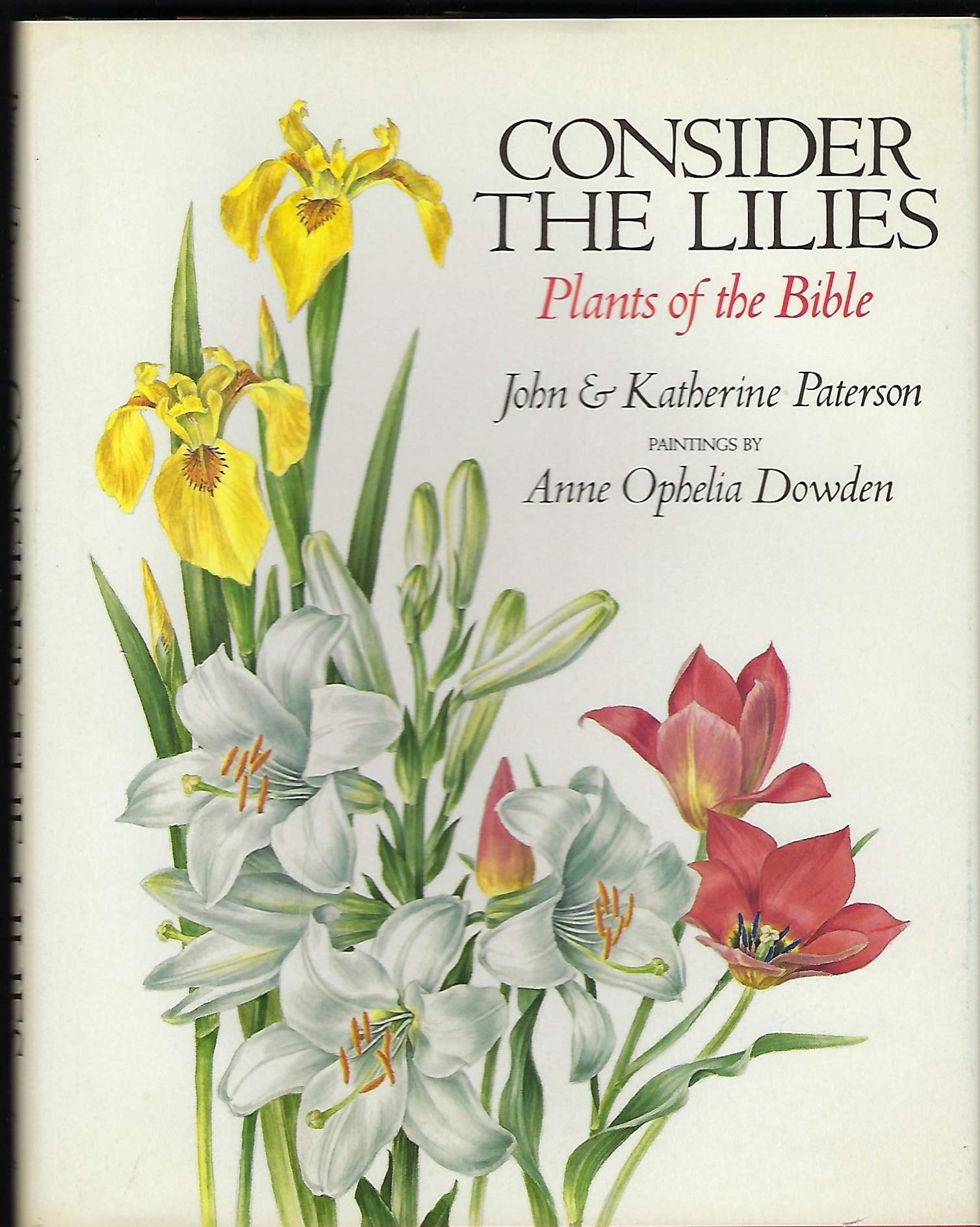 Consider the Lilies : Plants of the Bible,Used