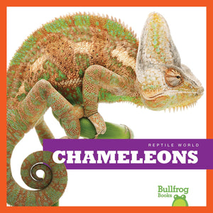 Chameleons (Bullfrog Books: Reptile World),Used