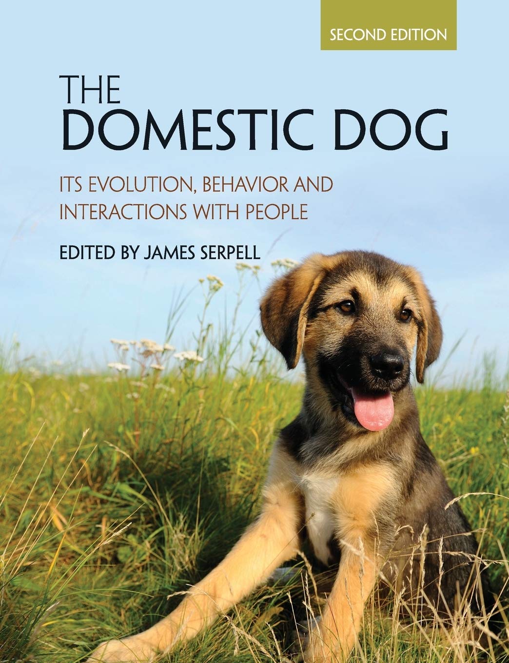 The Domestic Dog: Its Evolution, Behavior and Interactions with People,Used
