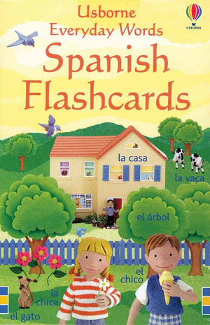 Everyday Words Spanish Flashcards (Usborne Everyday Words) (English and Spanish Edition),Used