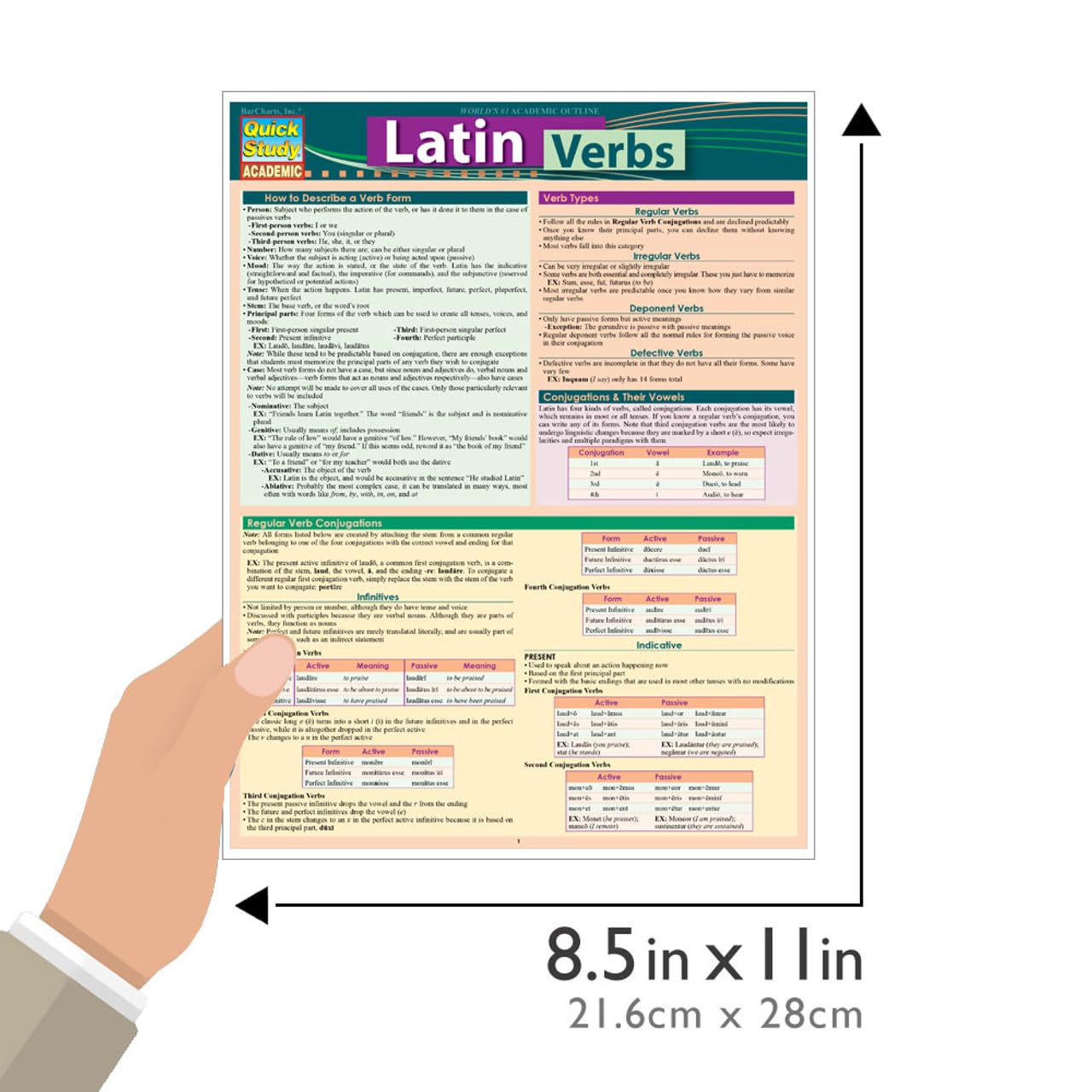 Latin Verbs: Conjugations QuickStudy Laminated Reference Guide (QuickStudy Academic) (English and Latin Edition),New