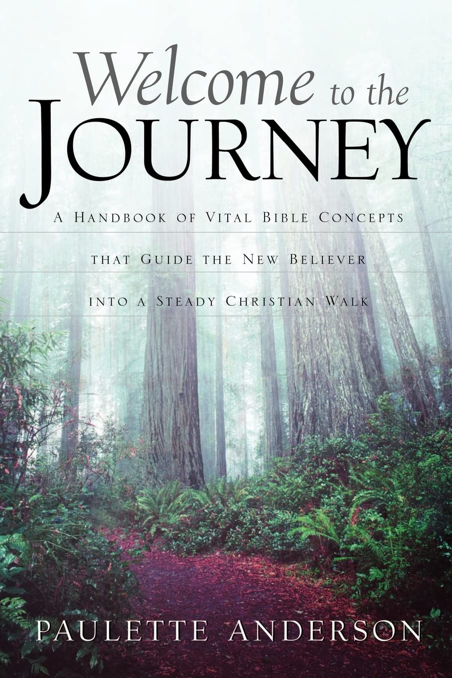 Welcome to the Journey,Used