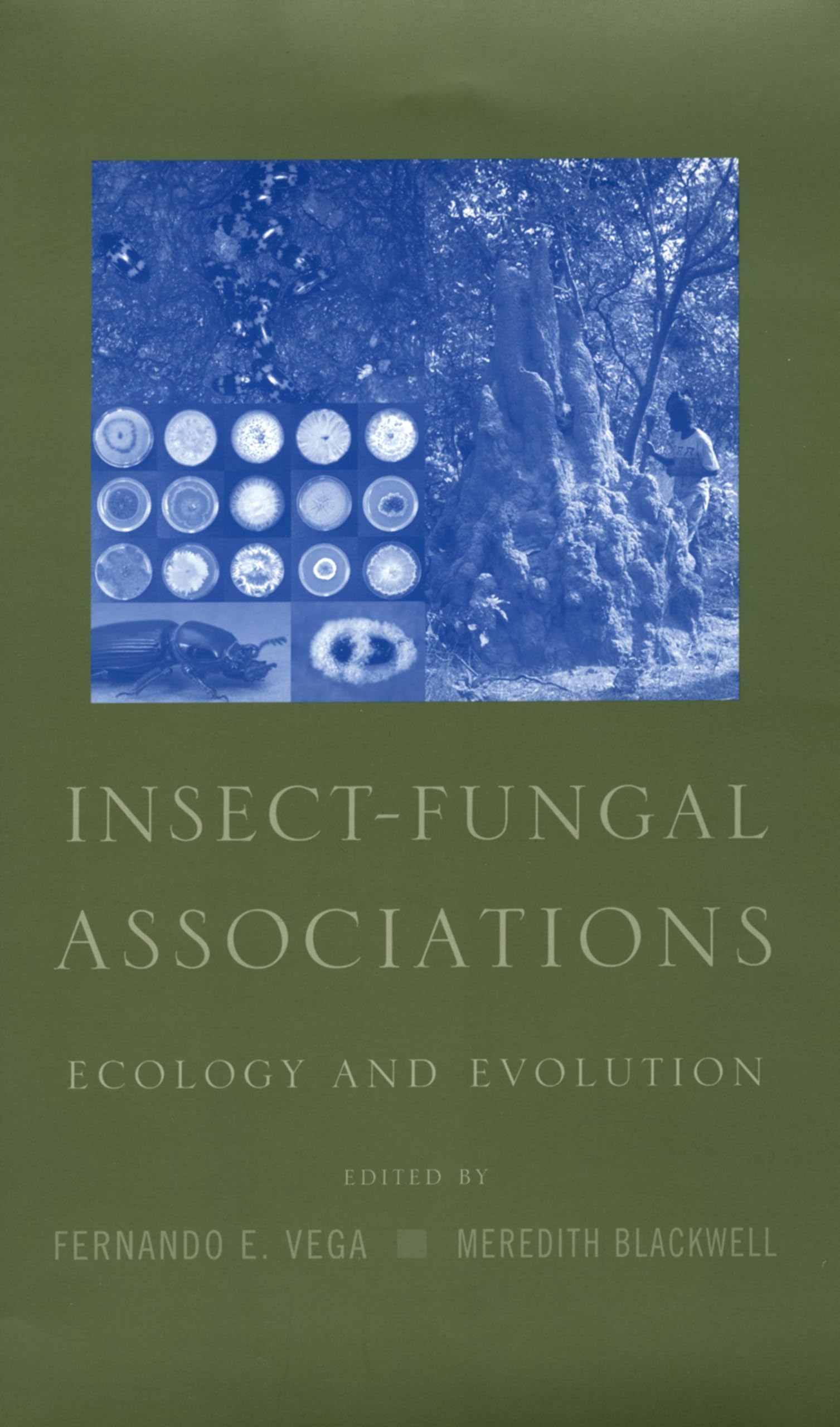 Insectfungal Associations: Ecology And Evolution