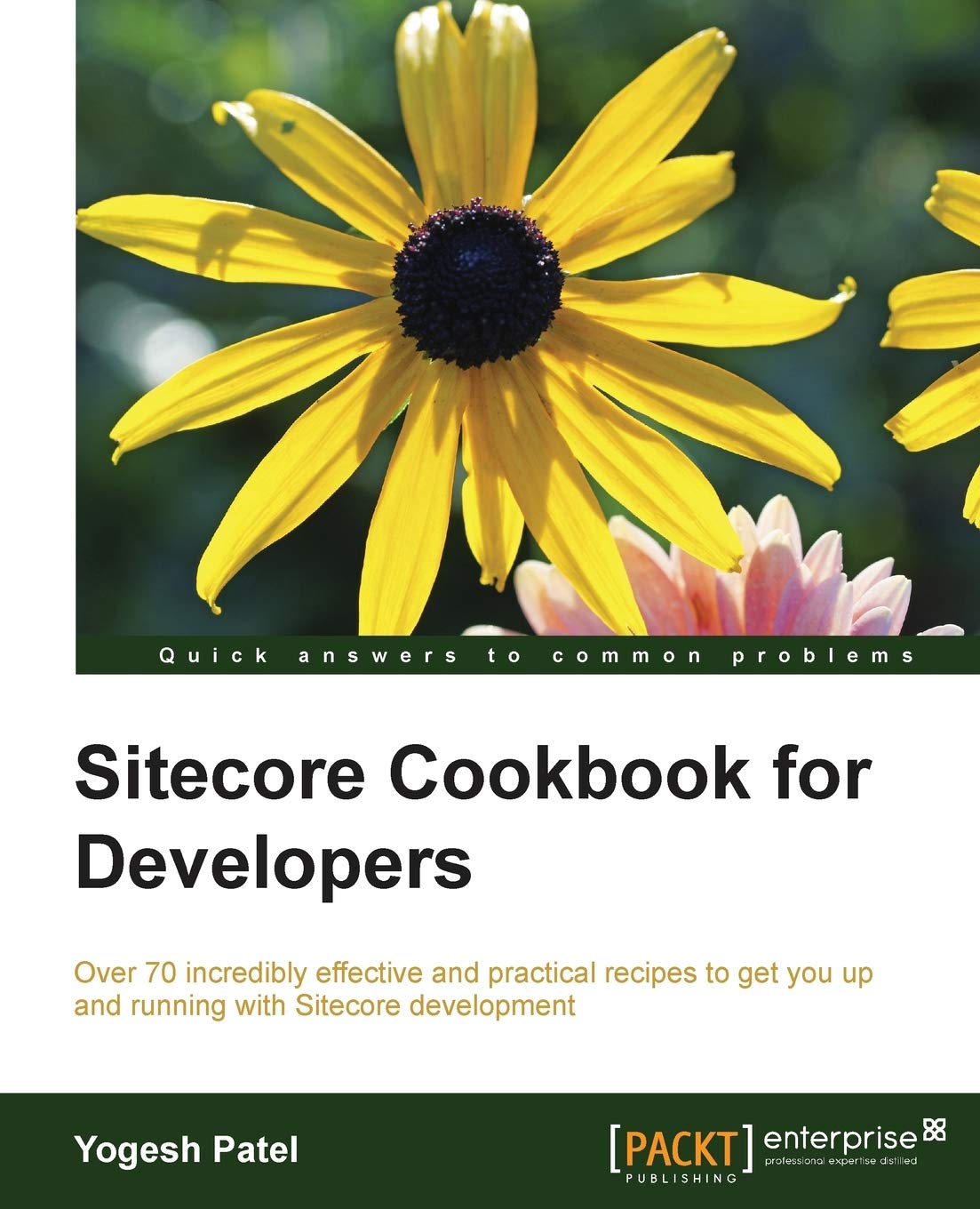 Sitecore Cookbook for Developers,Used