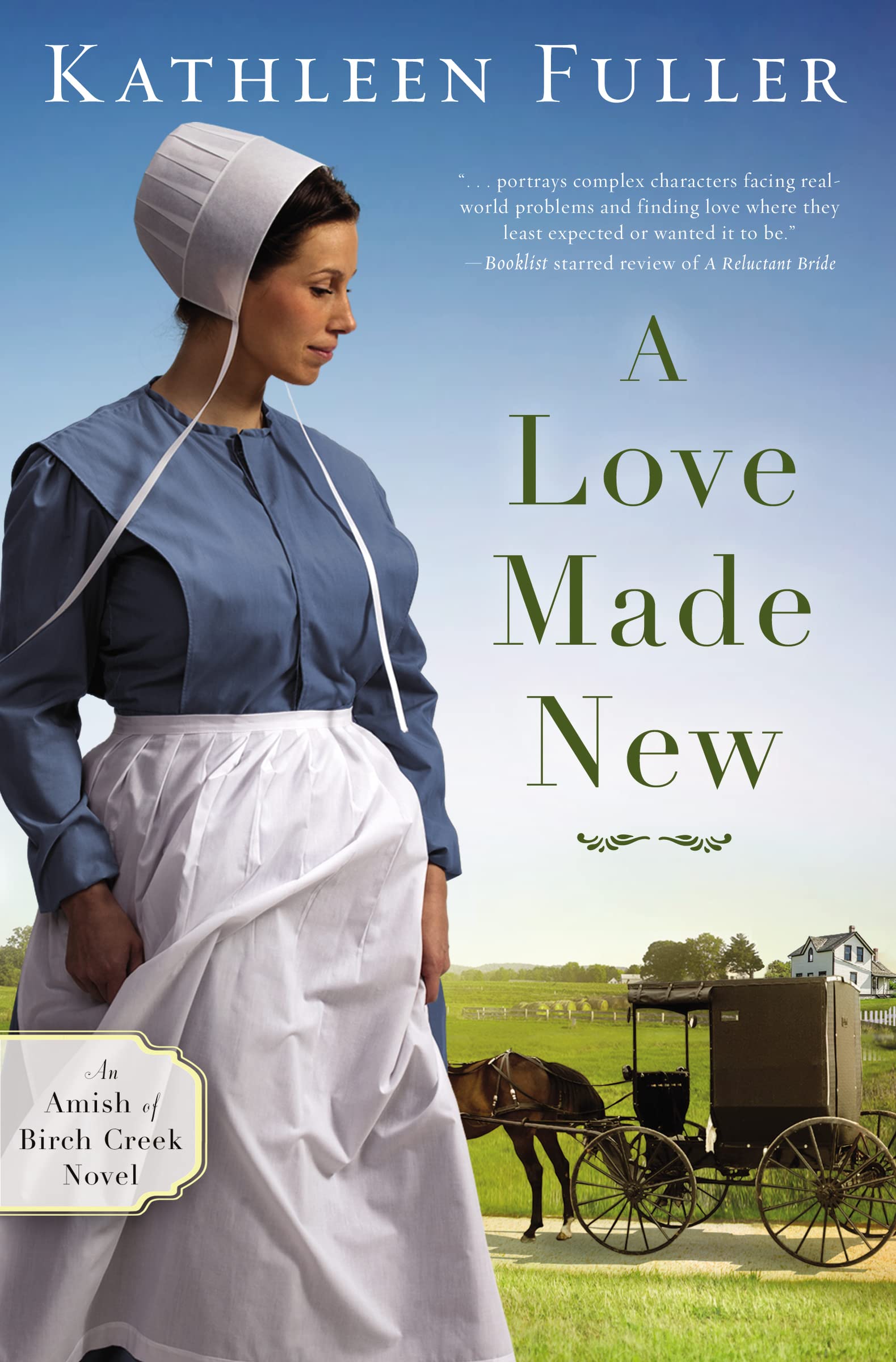 A Love Made New (An Amish of Birch Creek Novel),Used