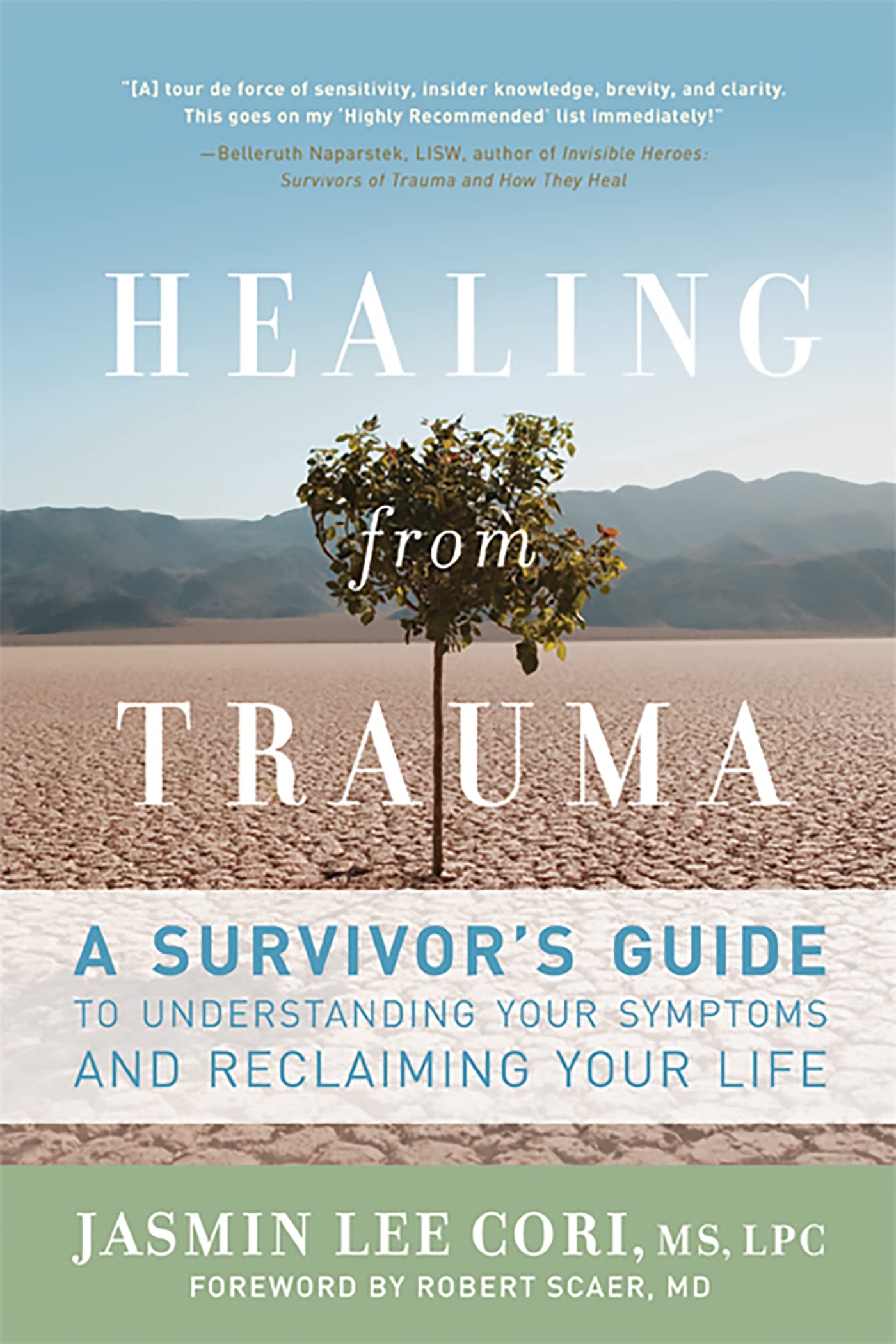Healing from Trauma: A Survivor's Guide to Understanding Your Symptoms and Reclaiming Your Life,Used