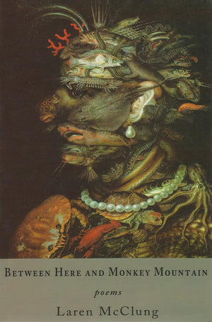 Between Here and Monkey Mountain: Poems,Used