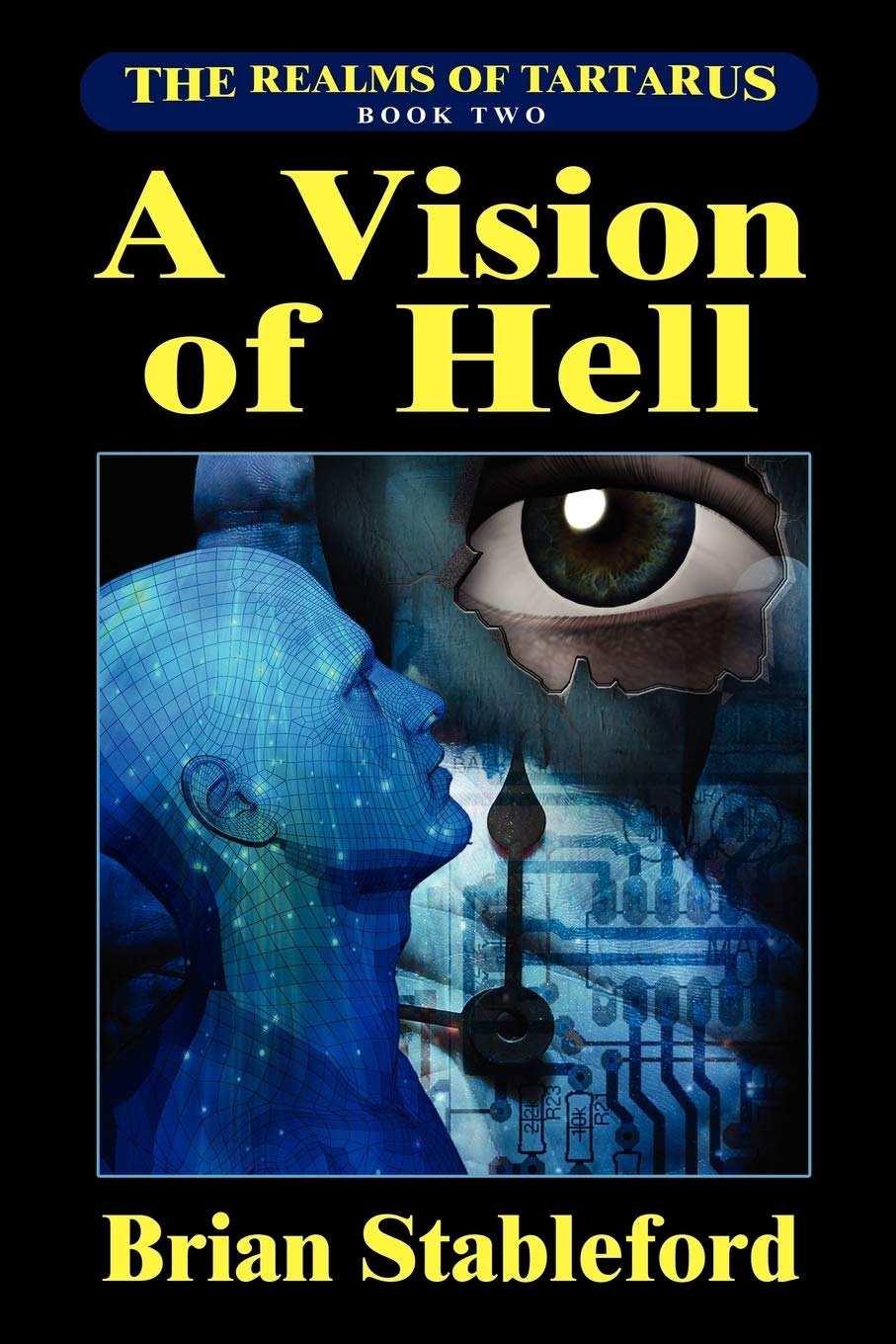 A Vision Of Hell: The Realms Of Tartarus, Book Two,Used