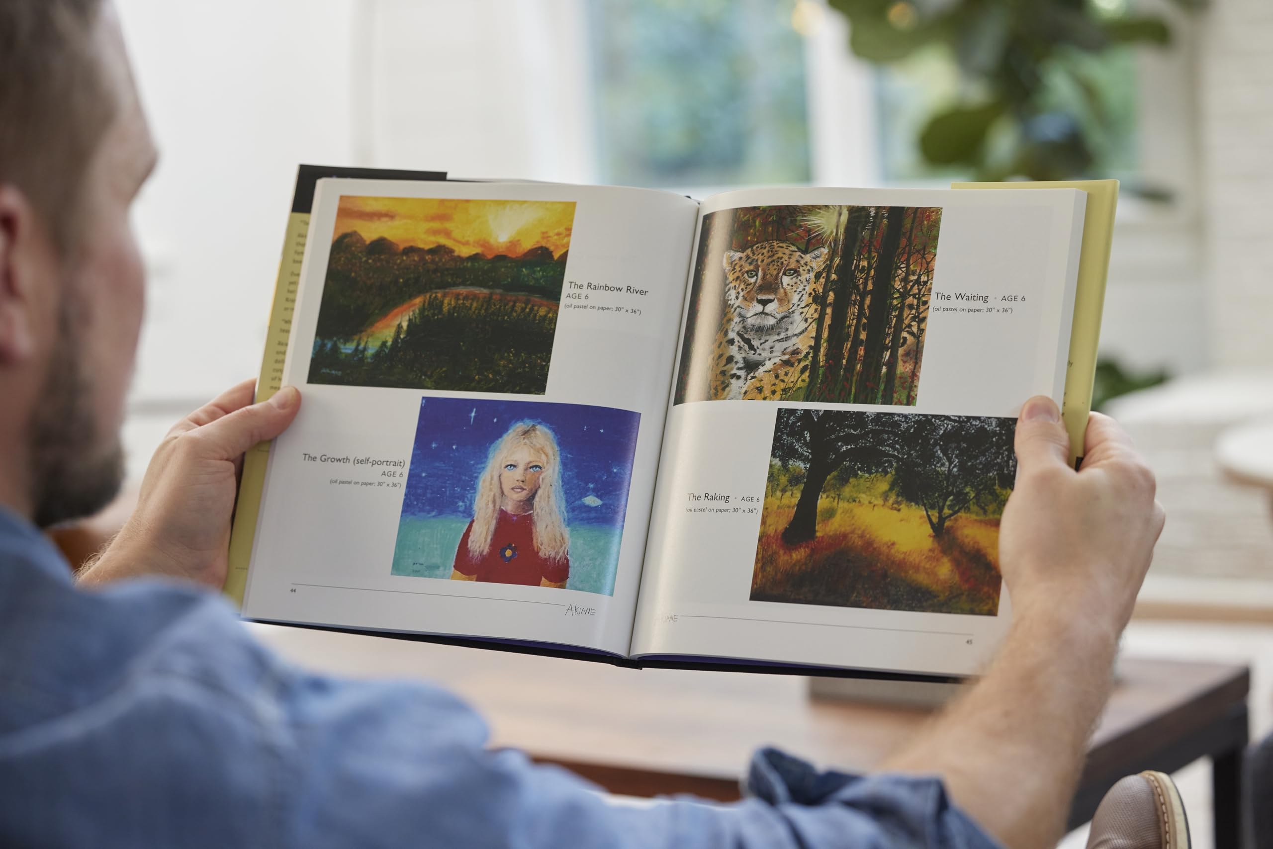 Akiane: Her Life, Her Art, Her Poetry: Her Life, Her Art, Her Poetry,Used