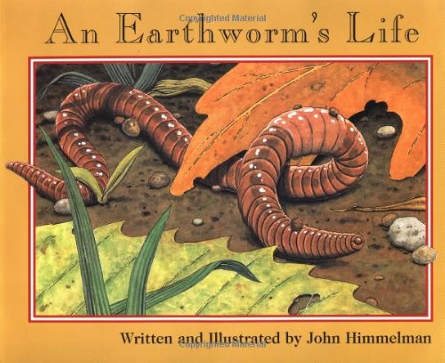 An Earthworm's Life (Nature Upclose),New