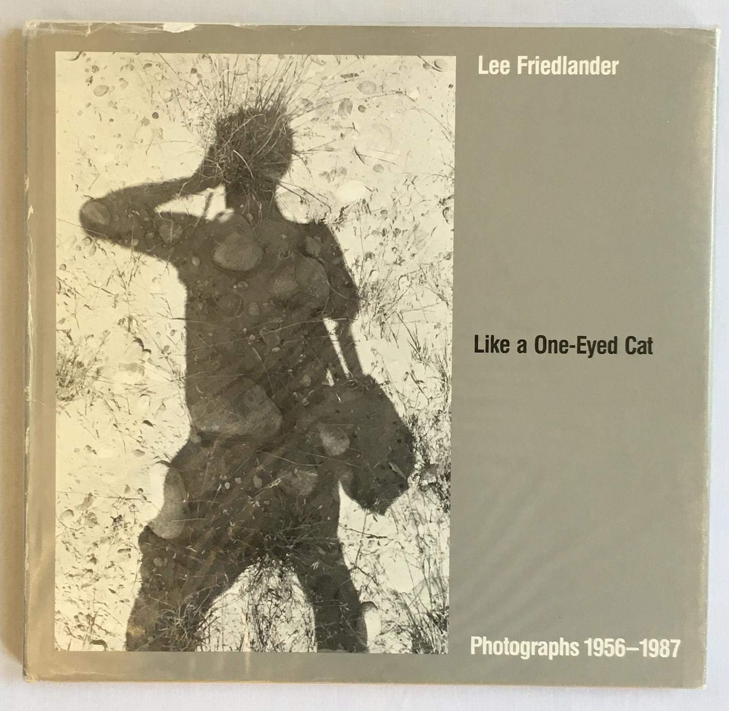 Like a OneEyed Cat: Photographs by Lee Friedlander : 19561987,Used