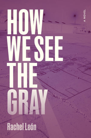 How We See The Gray: A Novel