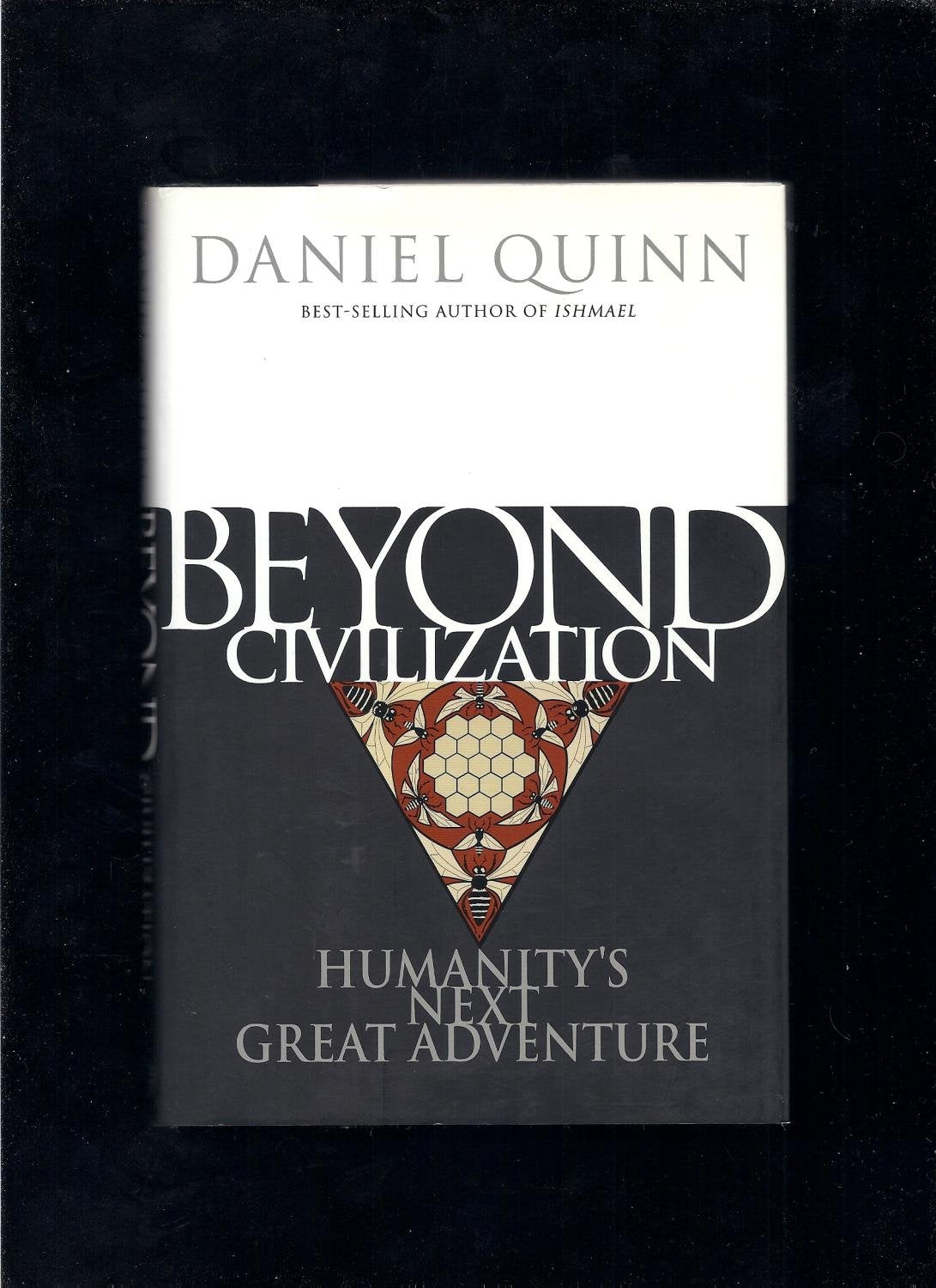 Beyond Civilization: Humanity'S Next Great Adventure