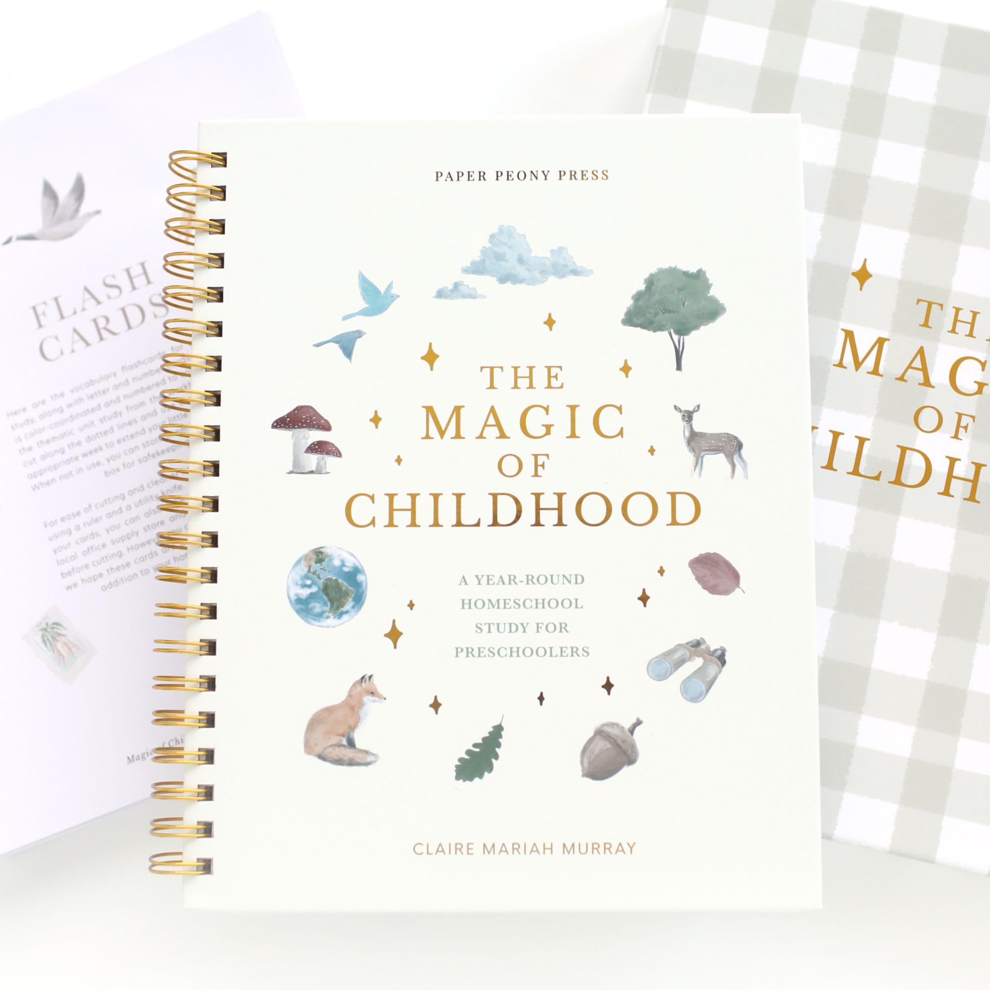 The Magic Of Childhood: A 52 Week Christian Homeschool Curriculum For Preschoolers  Weekly Units, Flashcards And Devotionals  Ag