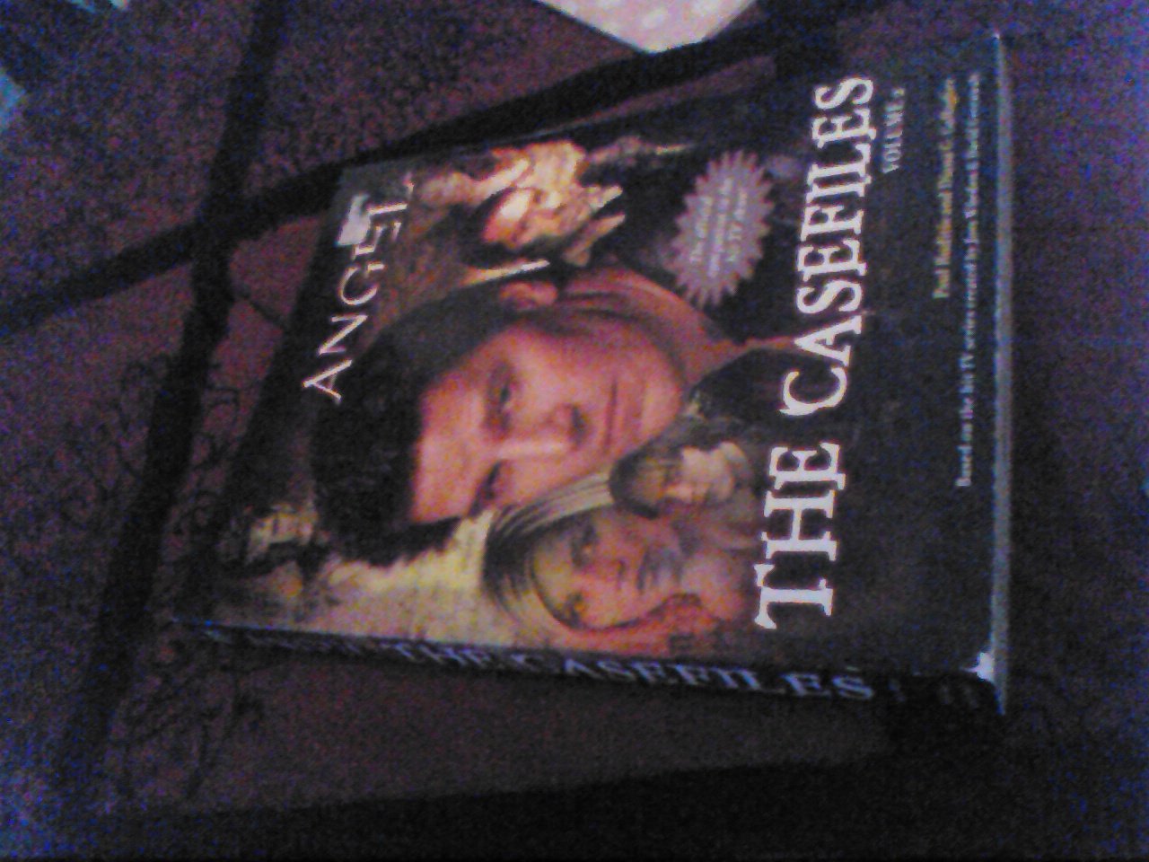 The Casefiles: Volume 2 (Angel),Used