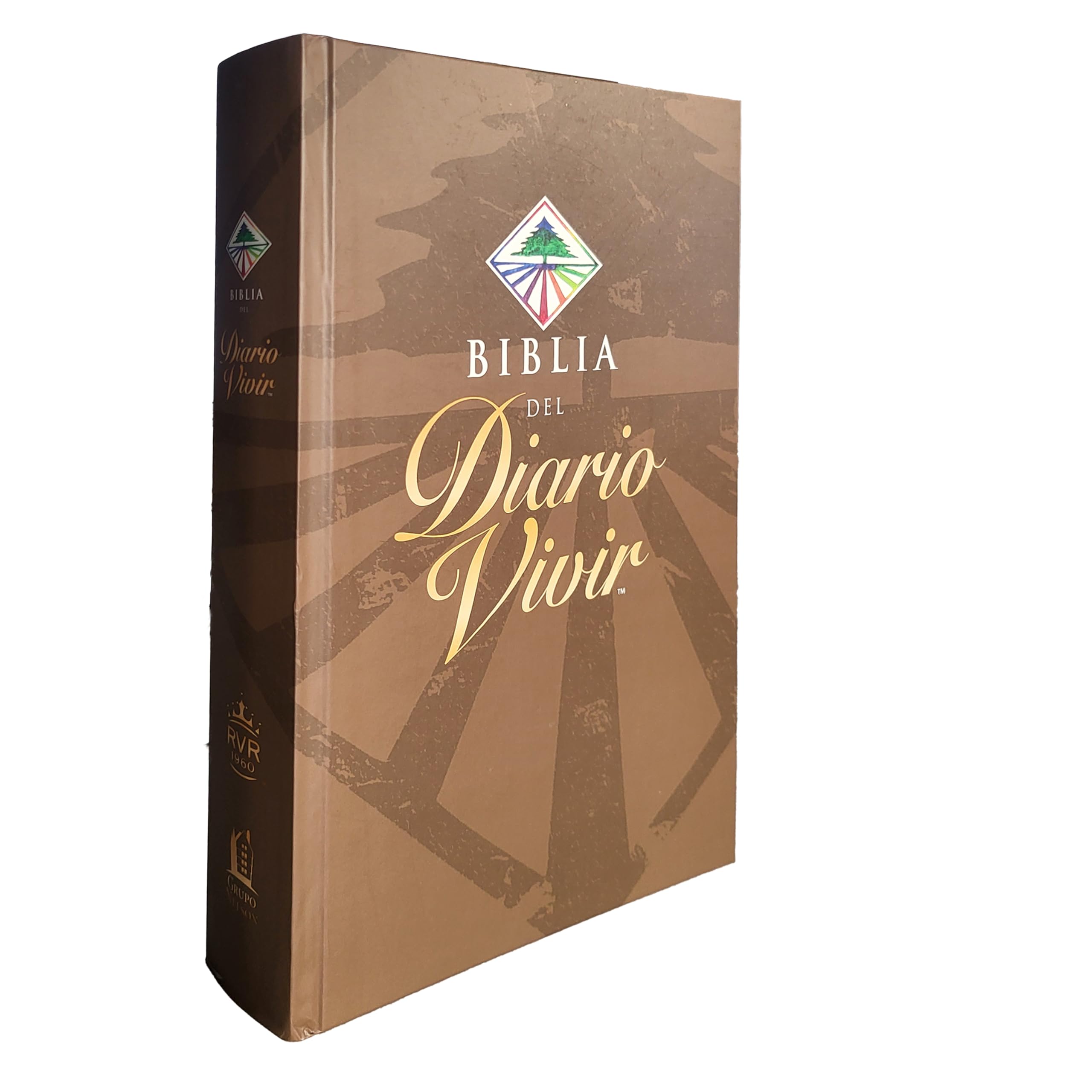 Biblia Del Diario Vivir,Used