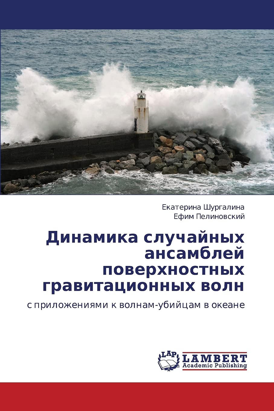 Dinamika sluchaynykh ansambley poverkhnostnykh gravitatsionnykh voln: s prilozheniyami k volnamubiytsam v okeane (Russian Editi,Used