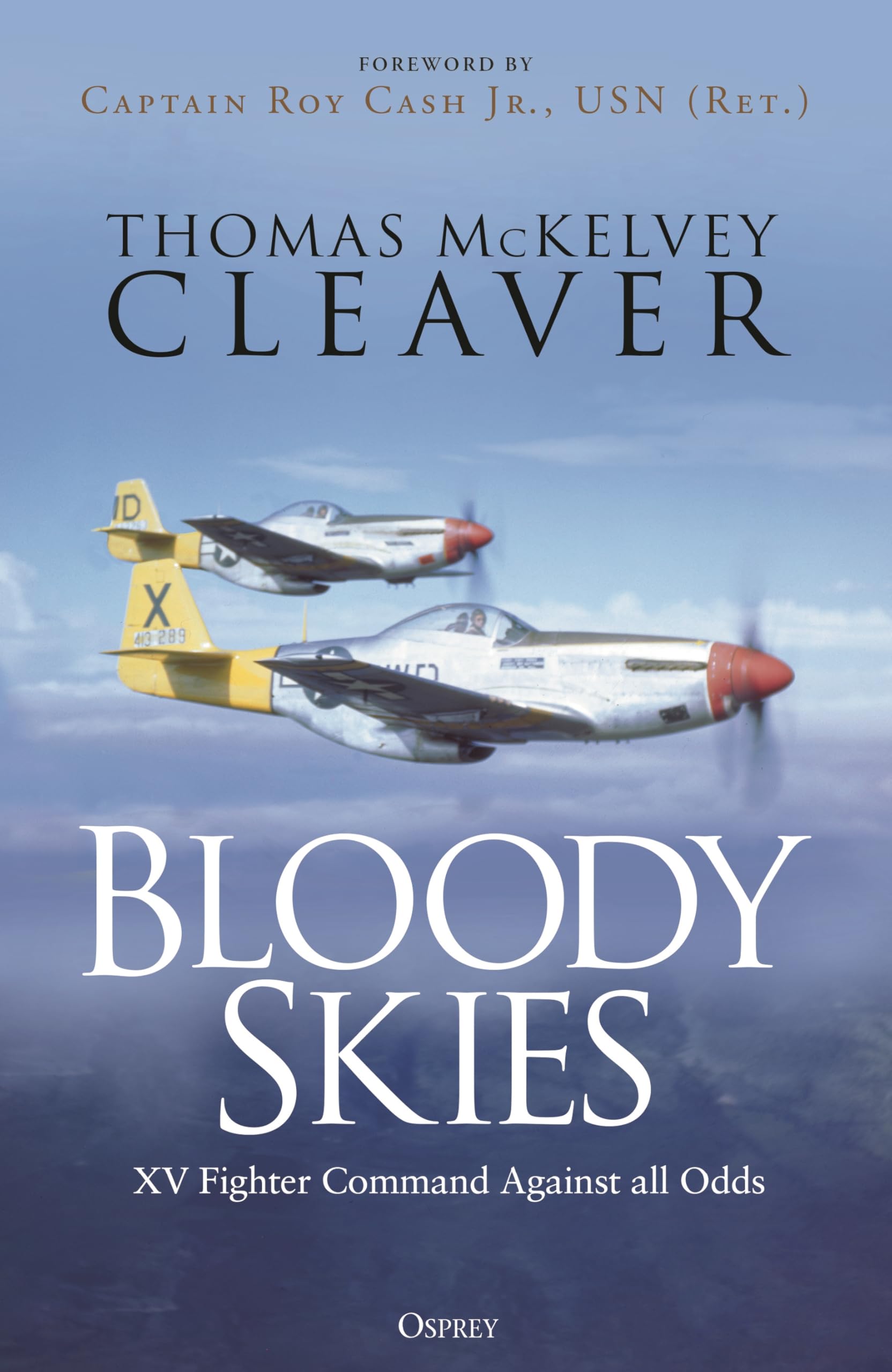 Bloody Skies: Xv Fighter Command Against All Odds