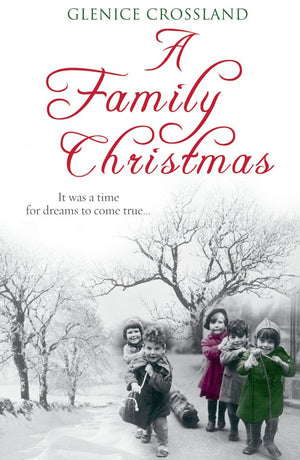 A Family Christmas,Used