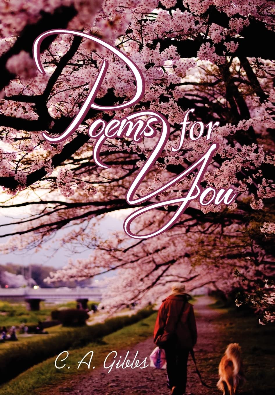 Poems For You,Used