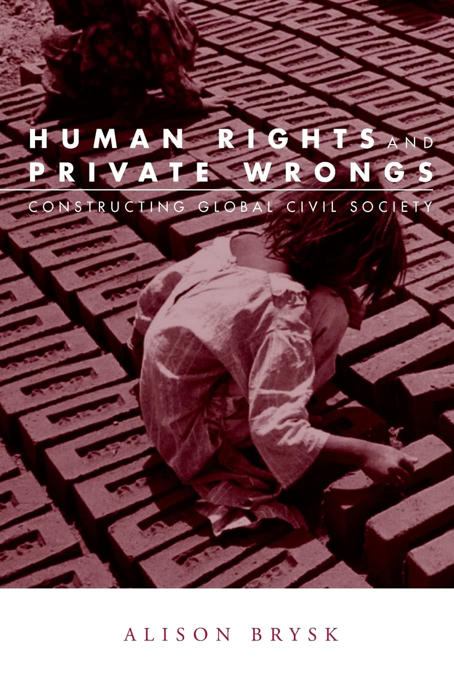 Human Rights And Private Wrong (Global Horizons),Used