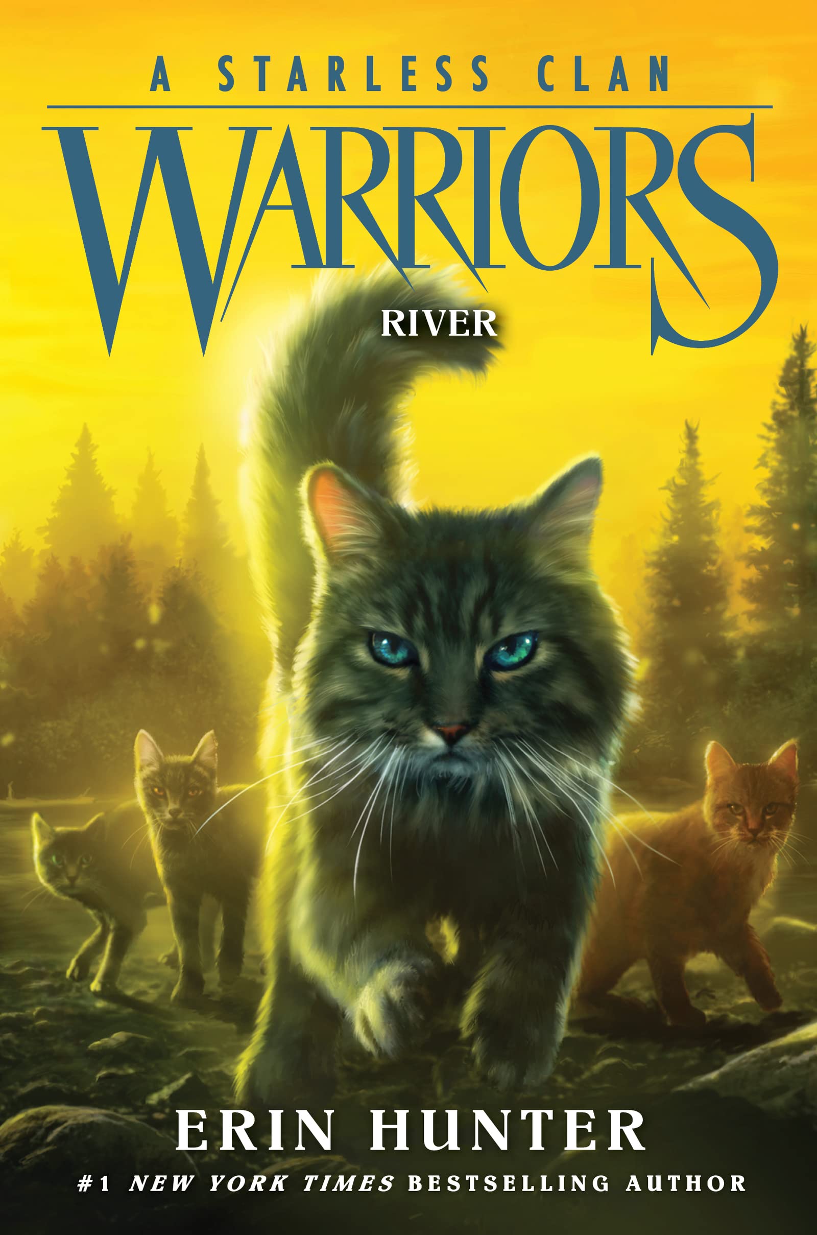 Warriors: A Starless Clan #1: River,Used