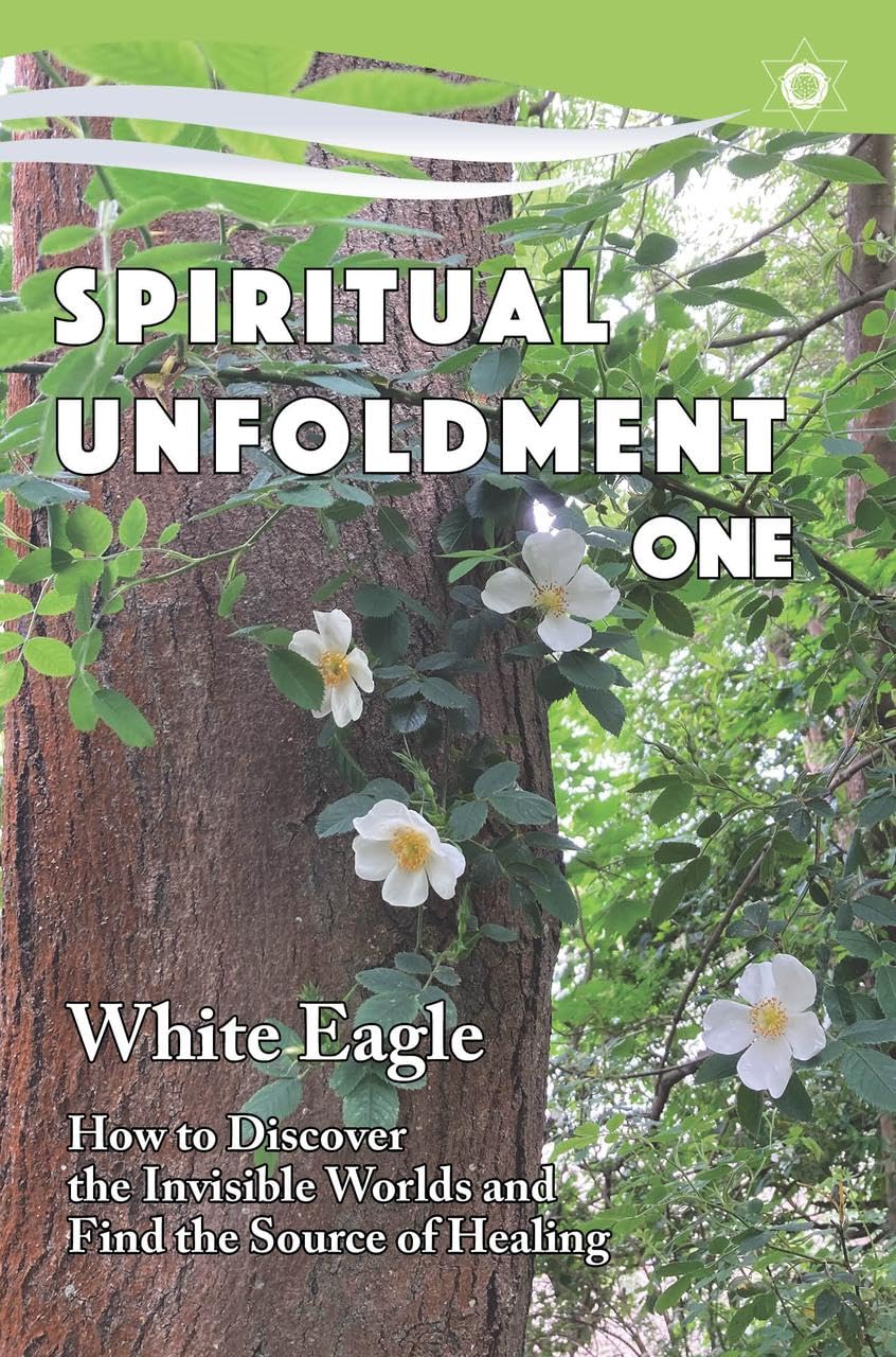 Spiritual Unfoldment 1: How To Discover The Invisible Worlds And Find The Source Of Healing,Used
