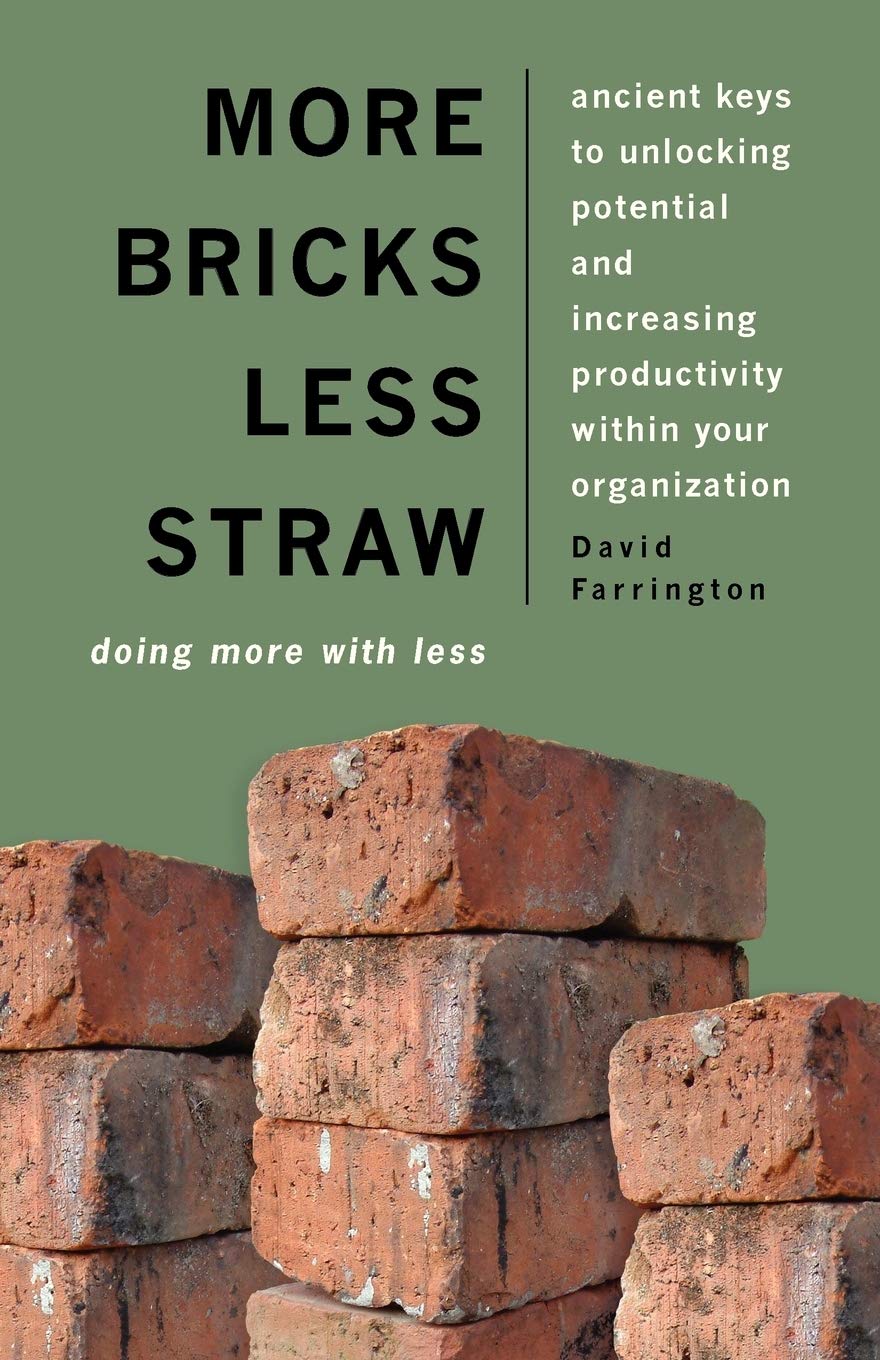 More Bricks Less Straw: Doing More with Less  Ancient Keys to Unlocking Potential and Increasing Productivity Within Your Organ,Used