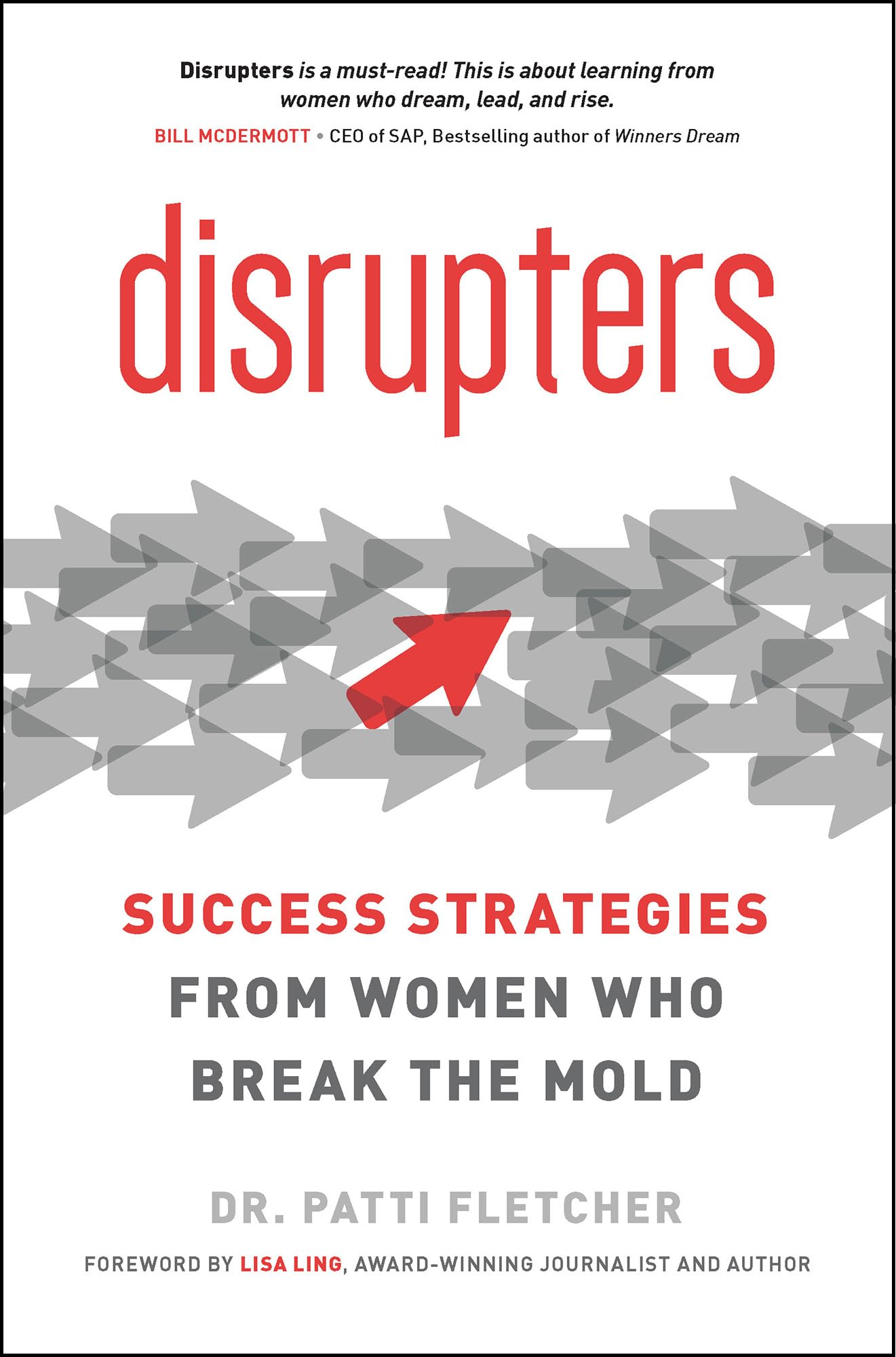 Disrupters: Success Strategies from Women Who Break the Mold,Used