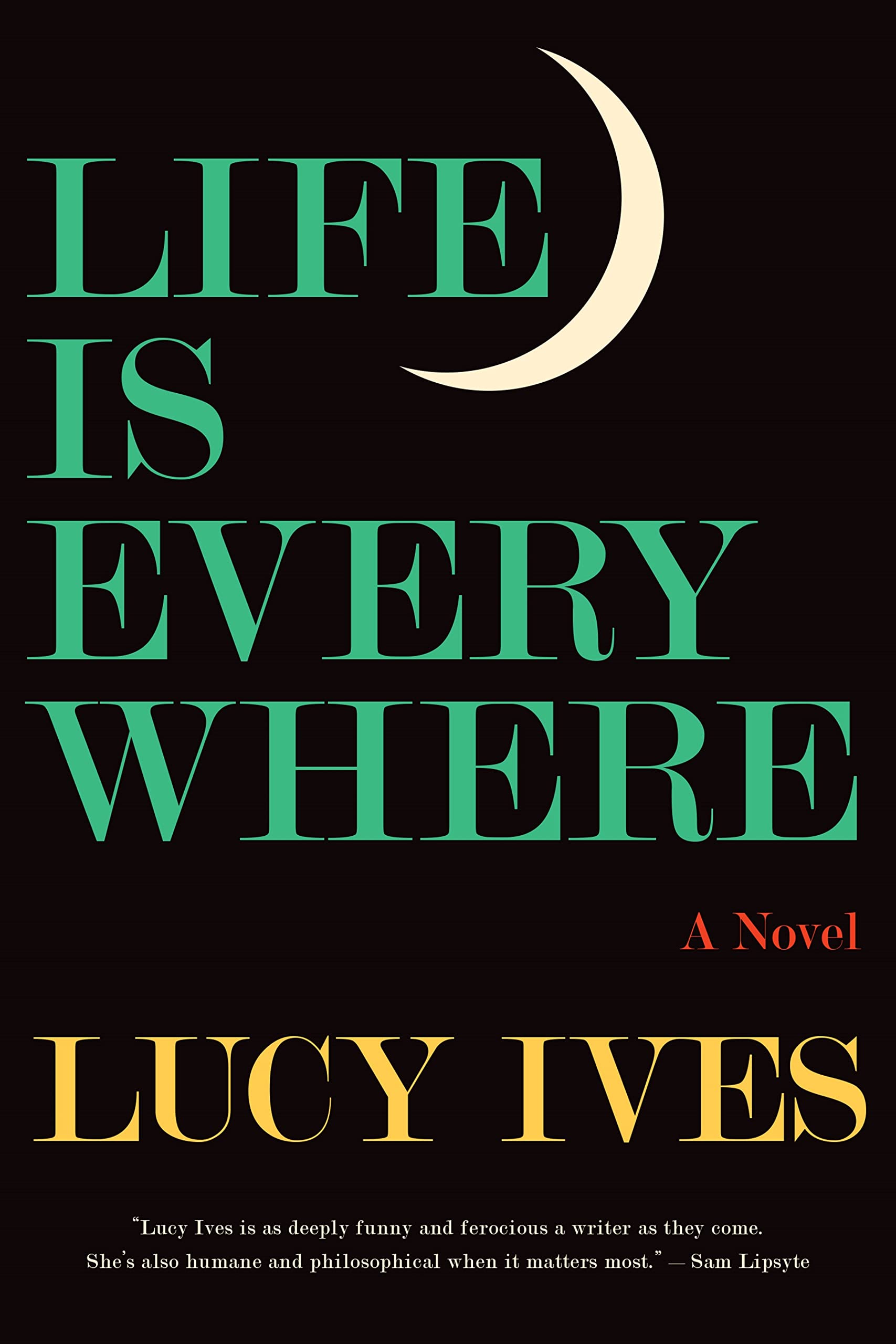 Life Is Everywhere: A Novel,Used