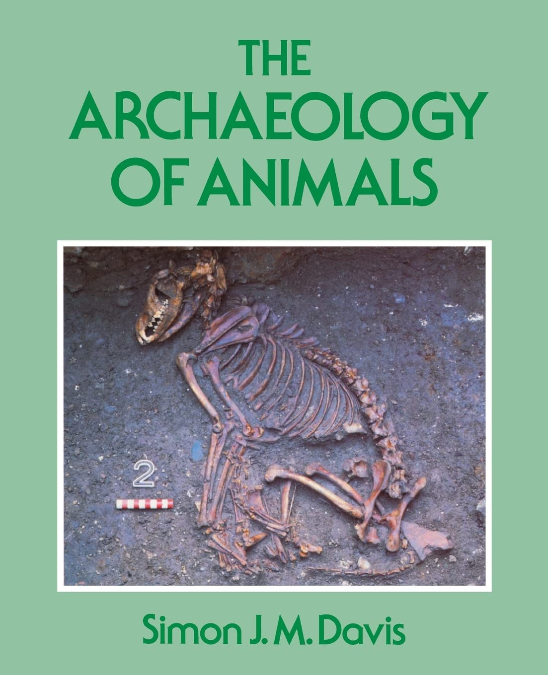 The Archaeology Of Animals