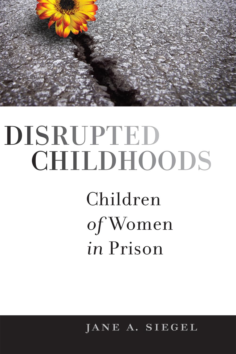 Disrupted Childhoods: Children of Women in Prison (Rutgers Series in Childhood Studies),Used