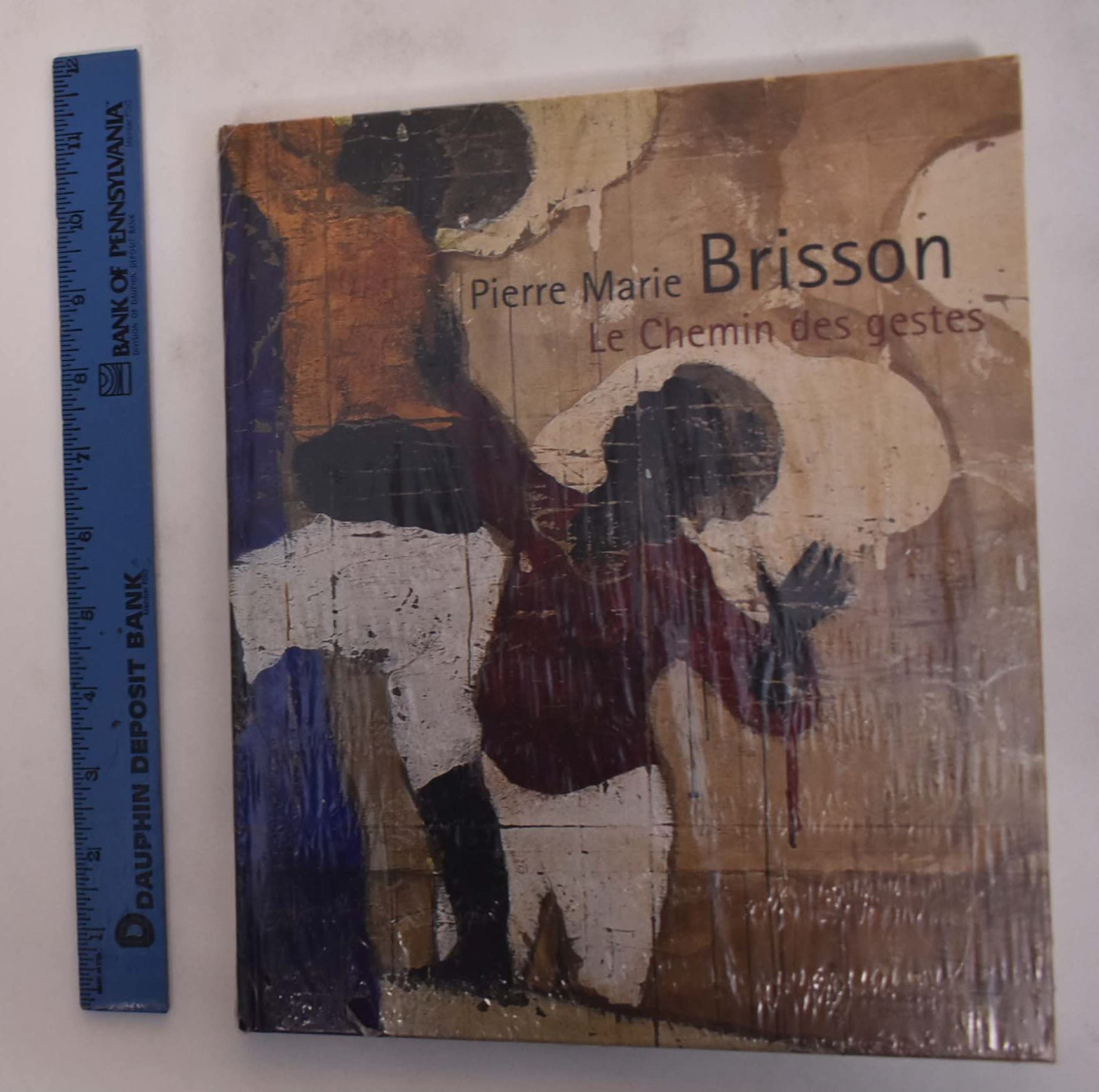 Pierre Marie Brisson: Le Chemin Des Gestes,Used