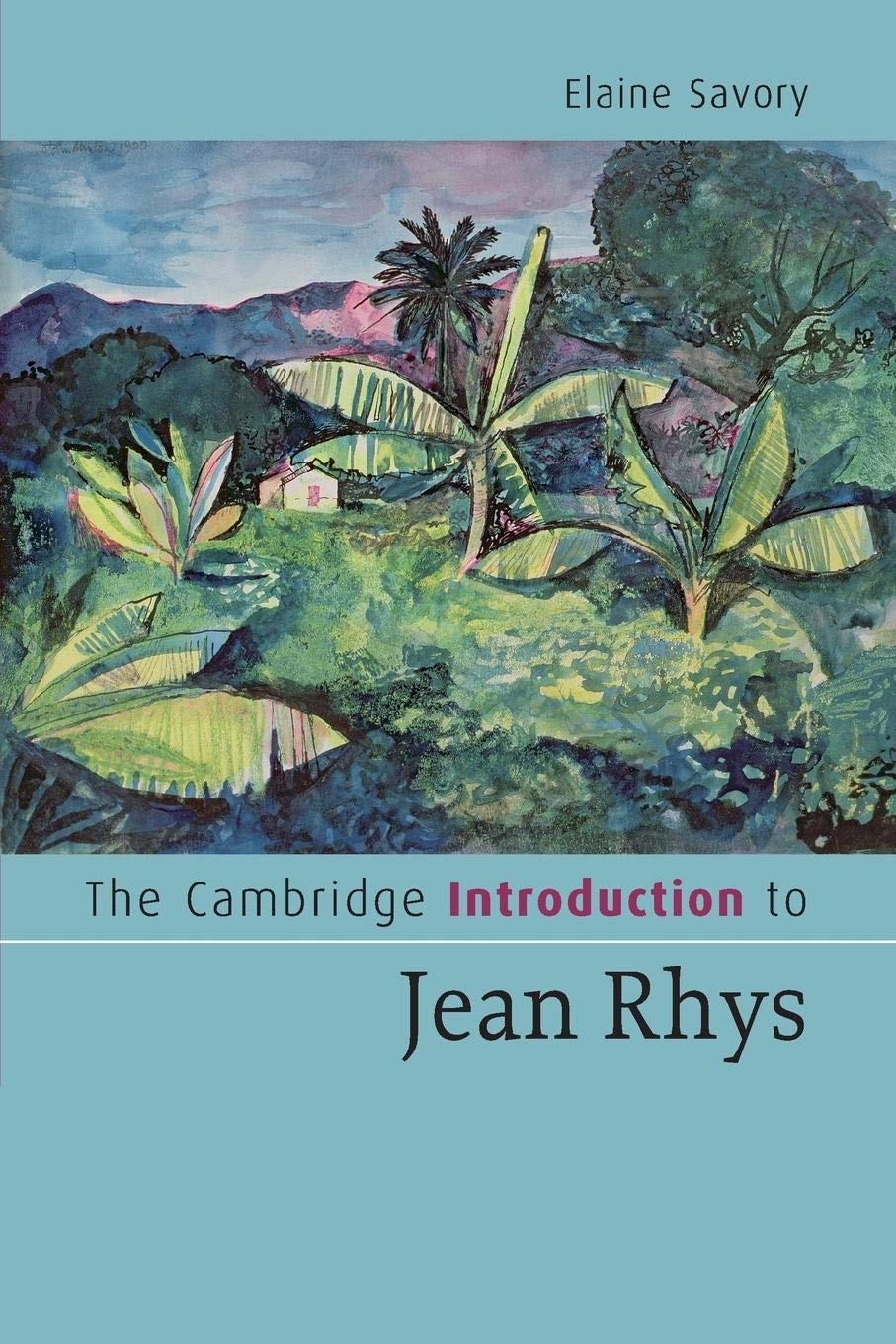 The Cambridge Introduction to Jean Rhys (Cambridge Introductions to Literature),Used