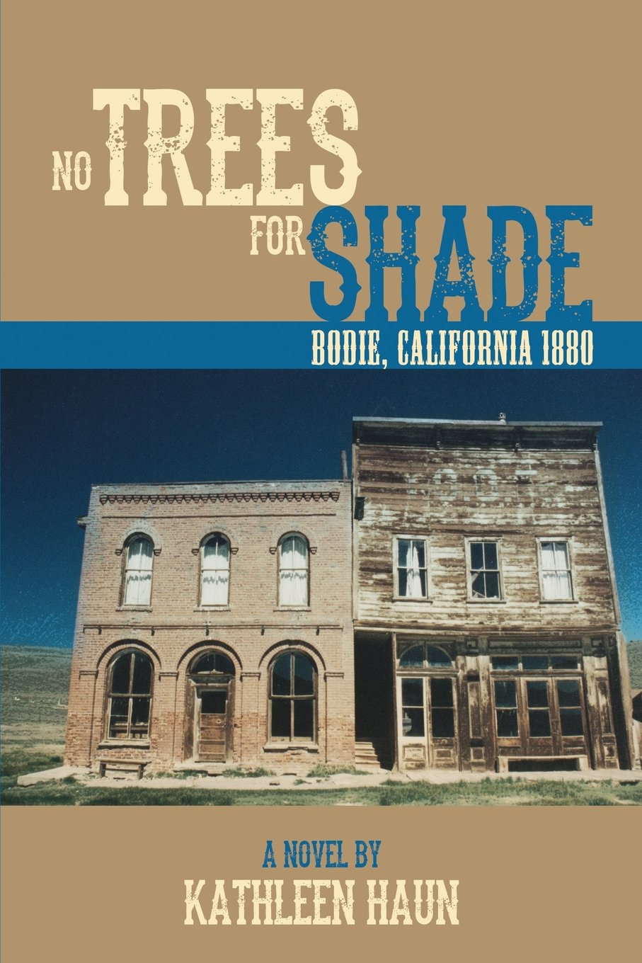 No Trees for Shade: Bodie, California,Used
