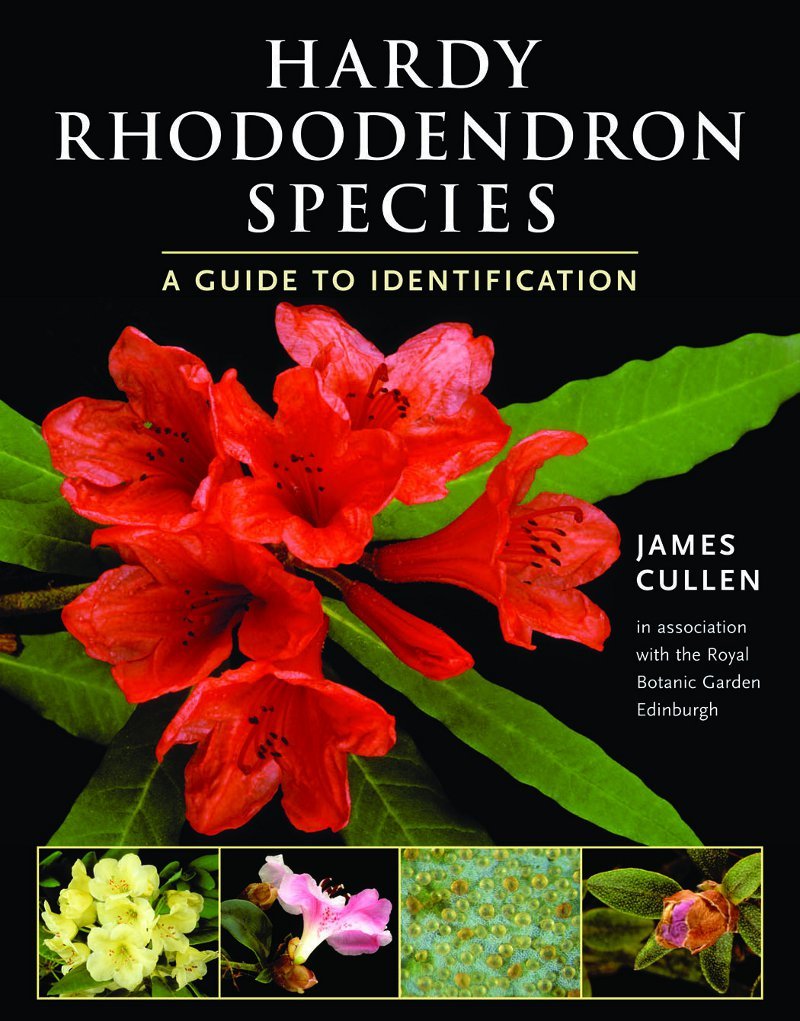 Hardy Rhododendron Species: A Guide to Identification,Used