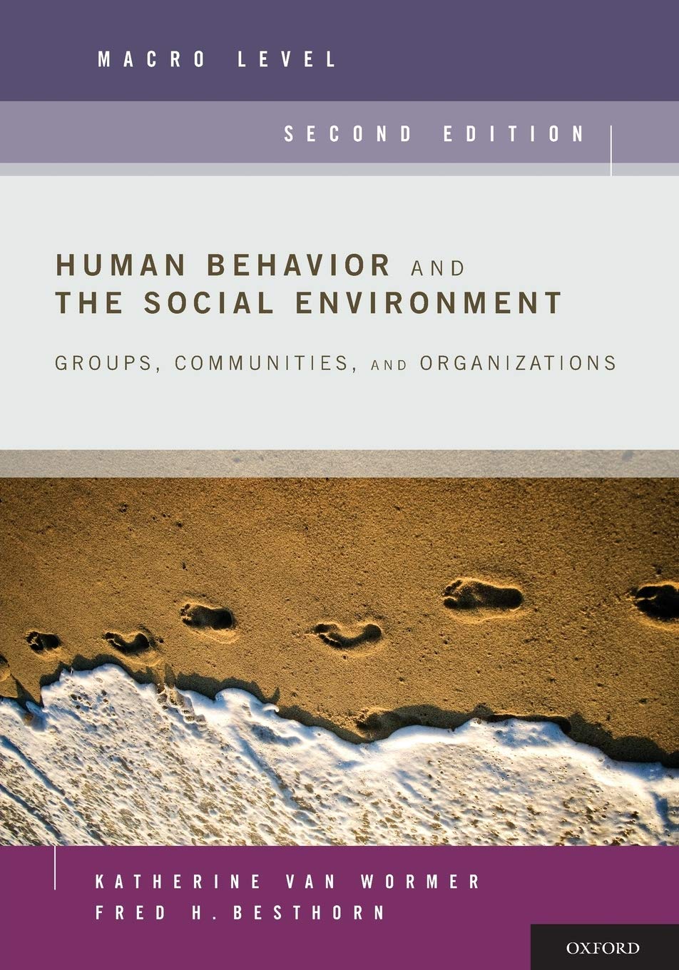 Human Behavior And The Social Environment, Macro Level: Groups, Communities, And Organizations,New