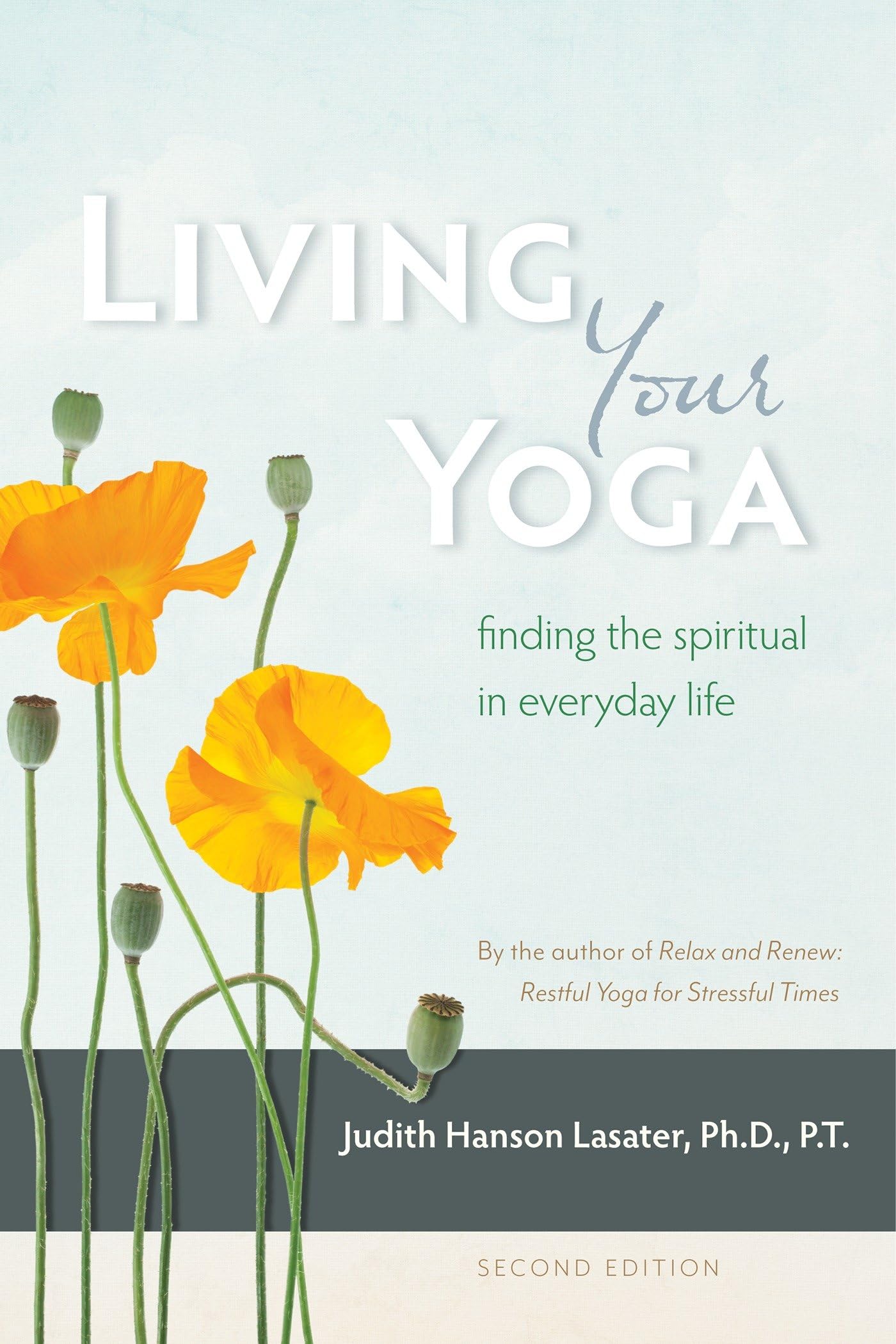 Living Your Yoga: Finding the Spiritual in Everyday Life,New