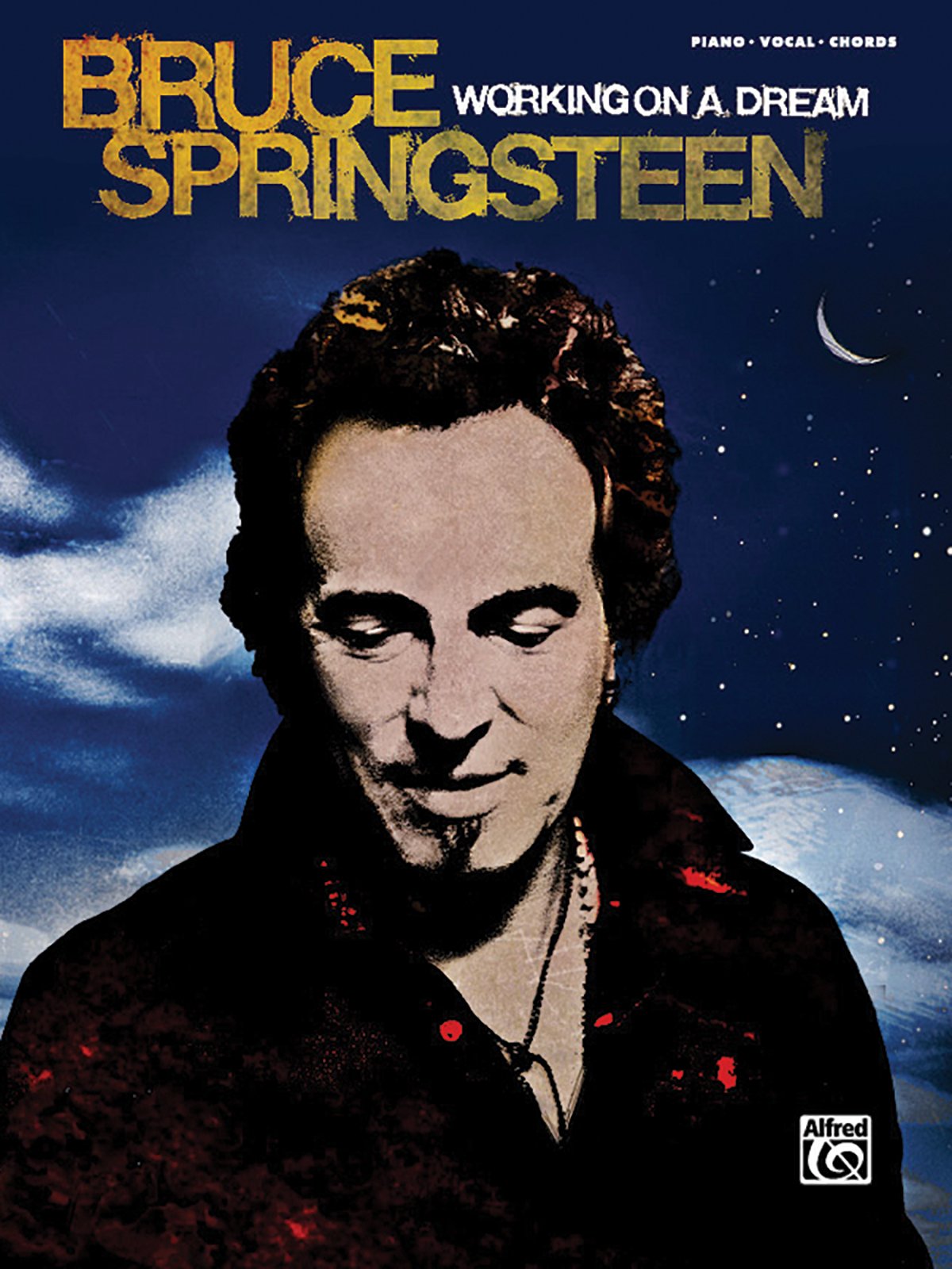 Bruce Springsteen  Working on a Dream: Piano/Vocal/Chords,Used