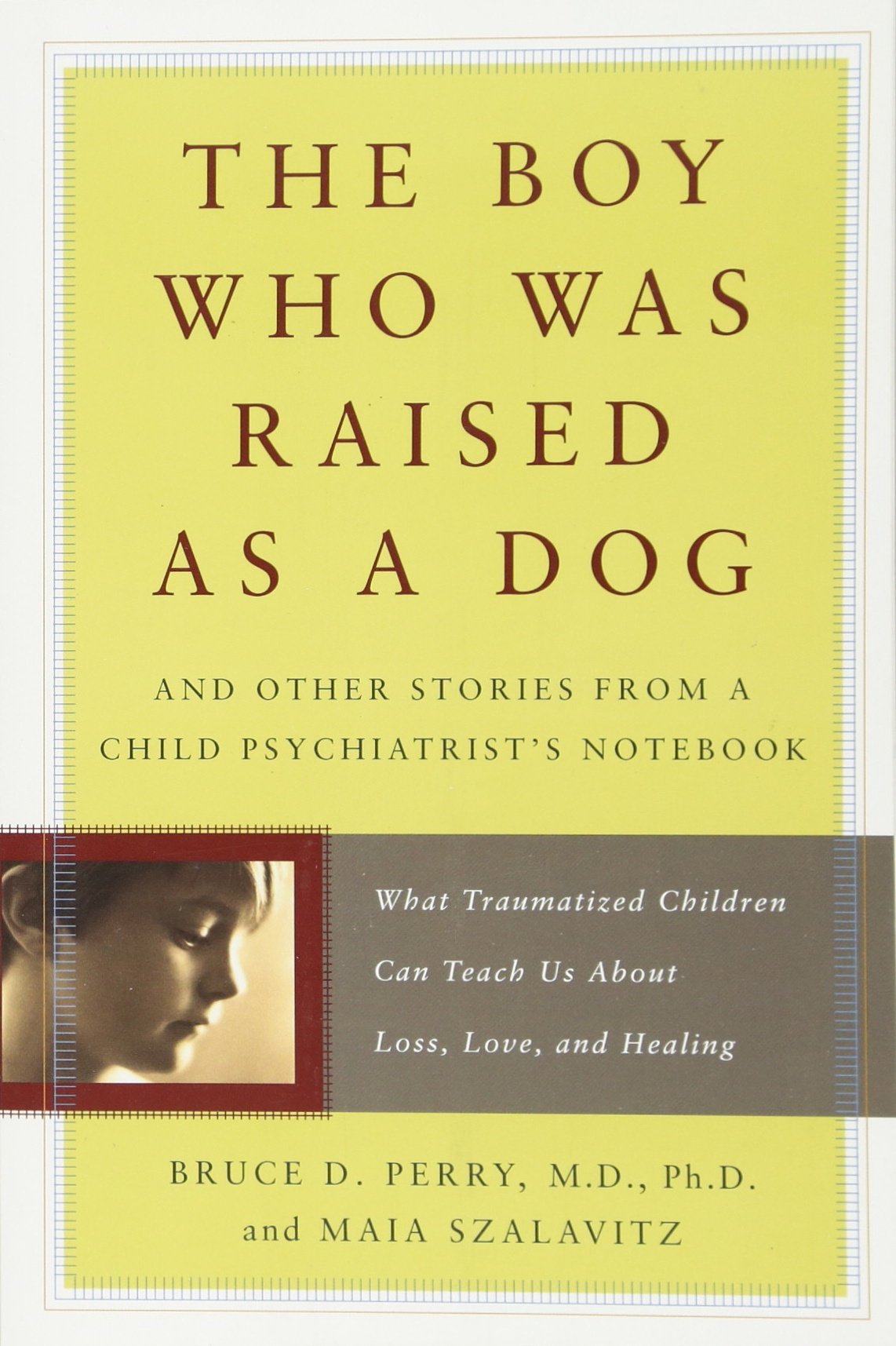 The Boy Who Was Raised As A Dog: And Other Stories From A Child Psychiatrist'S Notebook  What Traumatized Children Can Teach U,Used