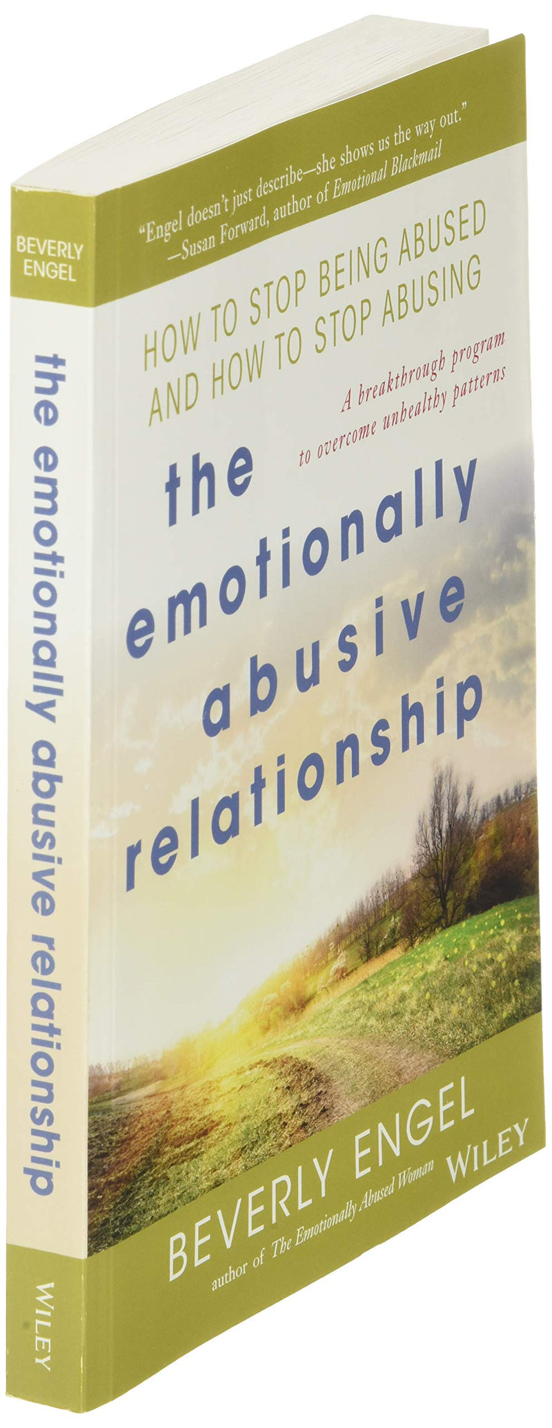 The Emotionally Abusive Relationship: How to Stop Being Abused and How to Stop Abusing,New