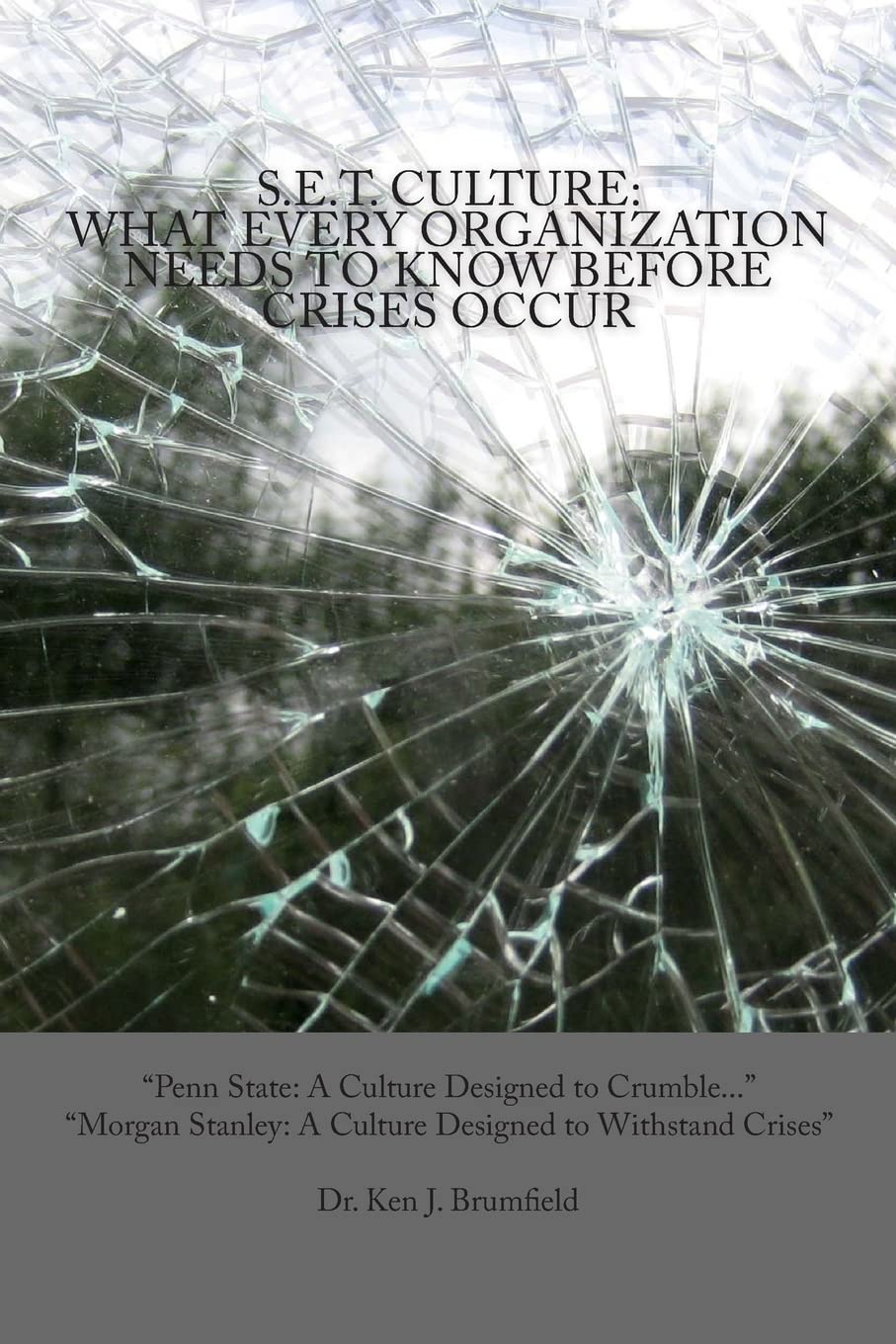 S.E.T. Culture: What Every Organization Needs To Know Before Crises Occur,Used