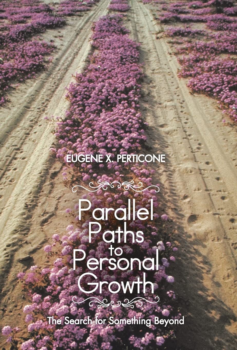 Parallel Paths To Personal Growth: The Search For Something Beyond,Used
